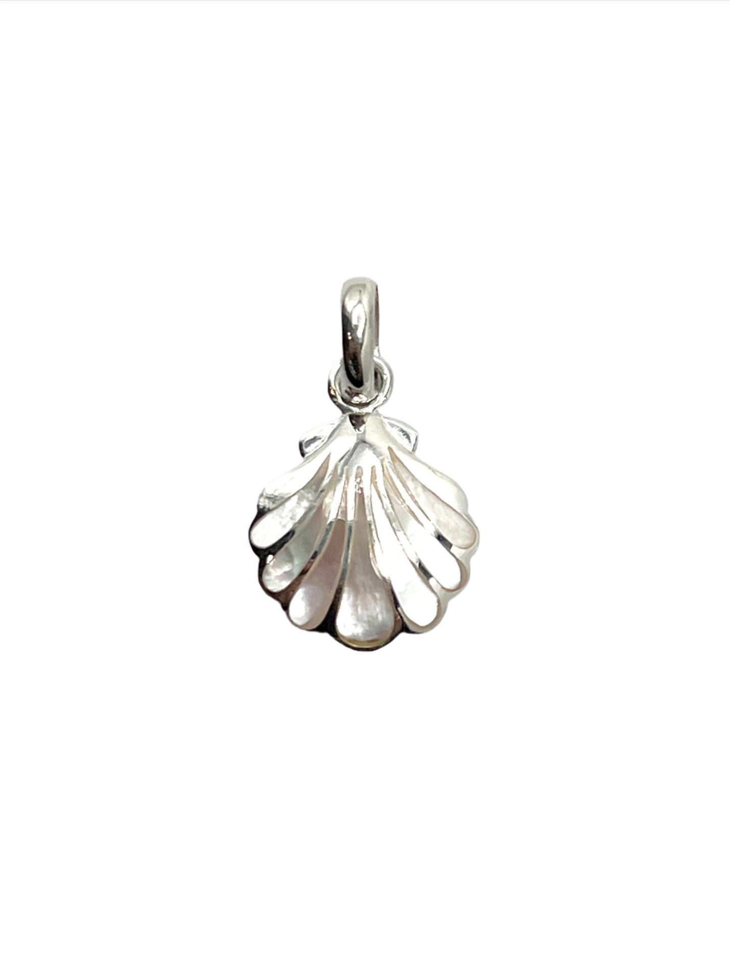 Sea Shell Pendants