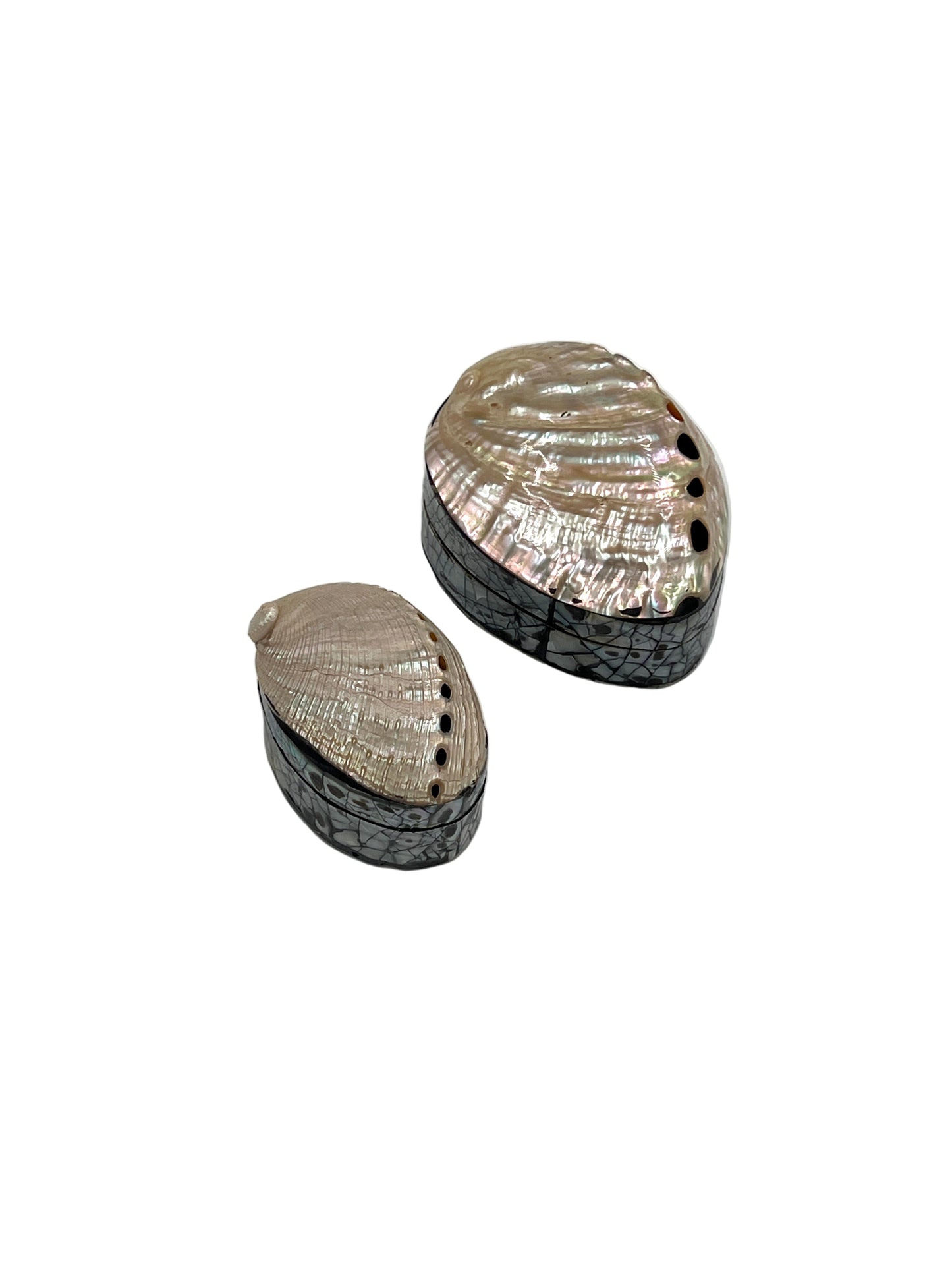 Abalone Shell Jewelry Boxes
