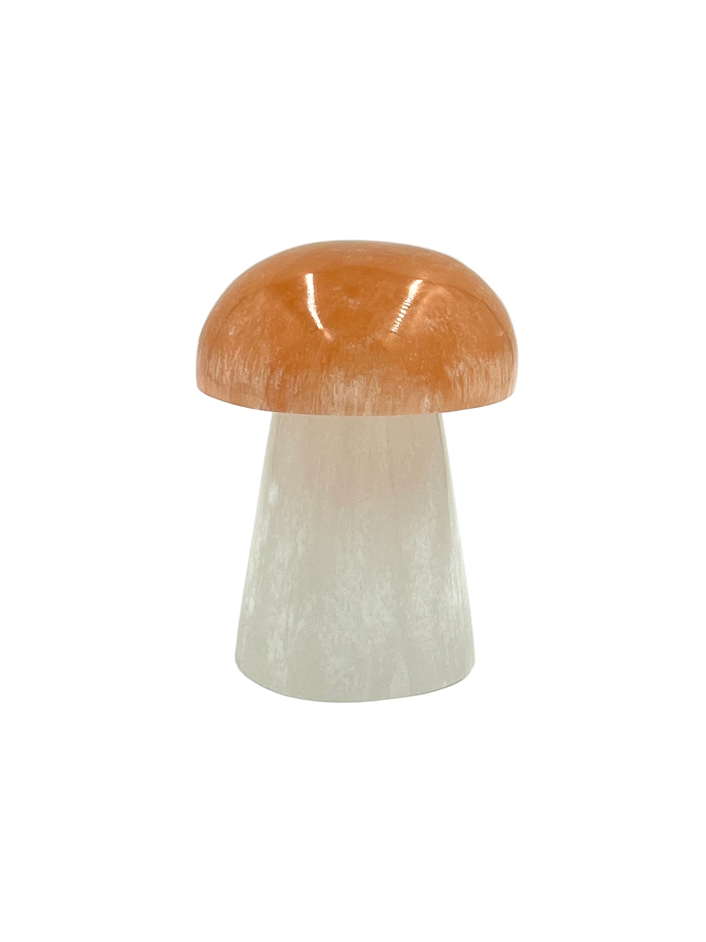Selenite Mushroom Lamps