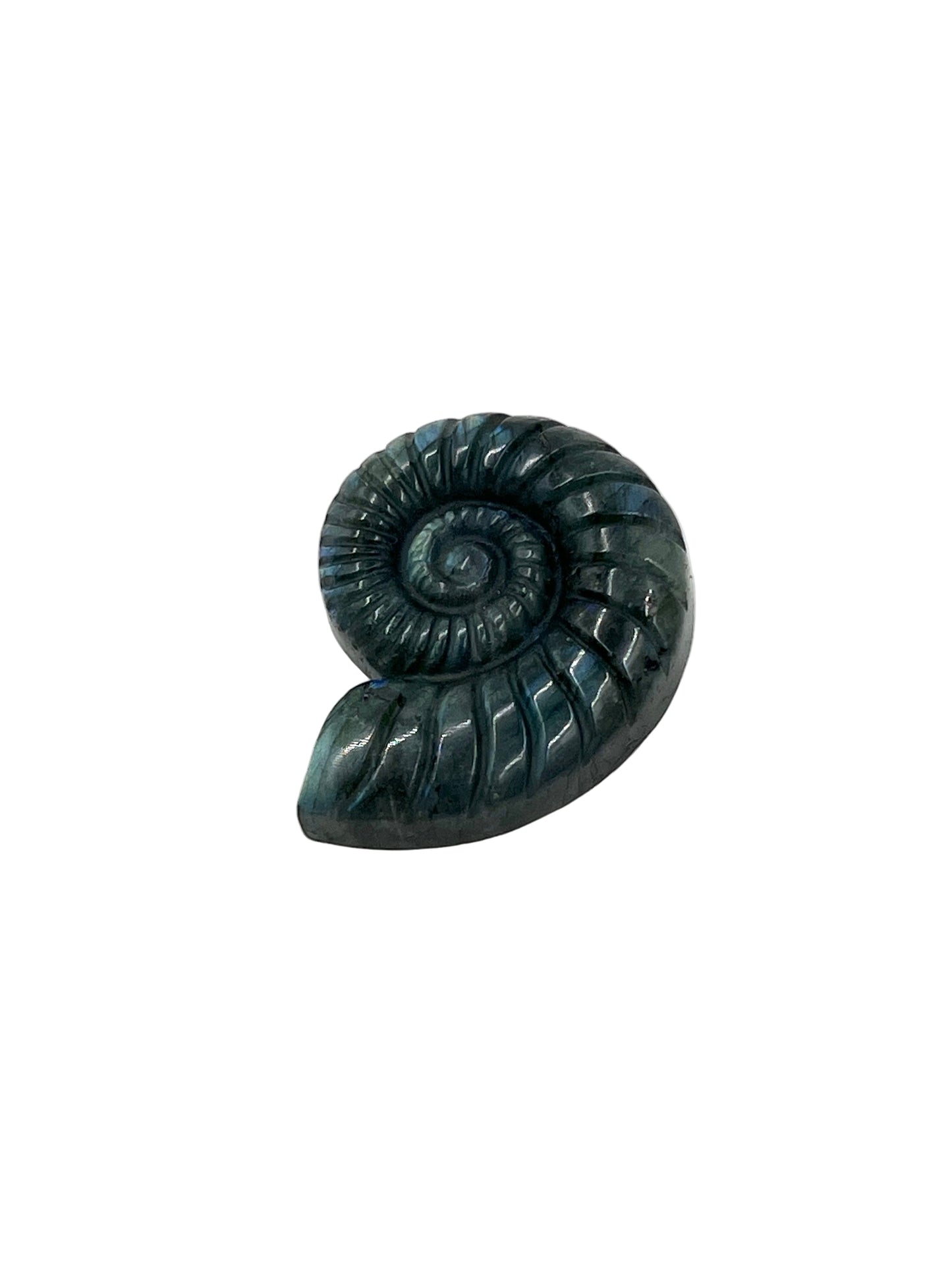 Labradorite Ammonite Carving