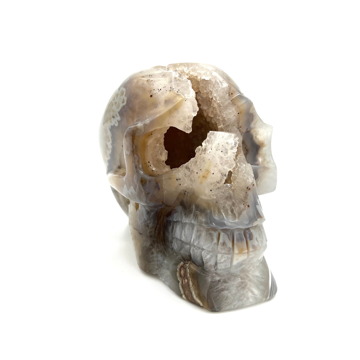 Druzy Agate Skull