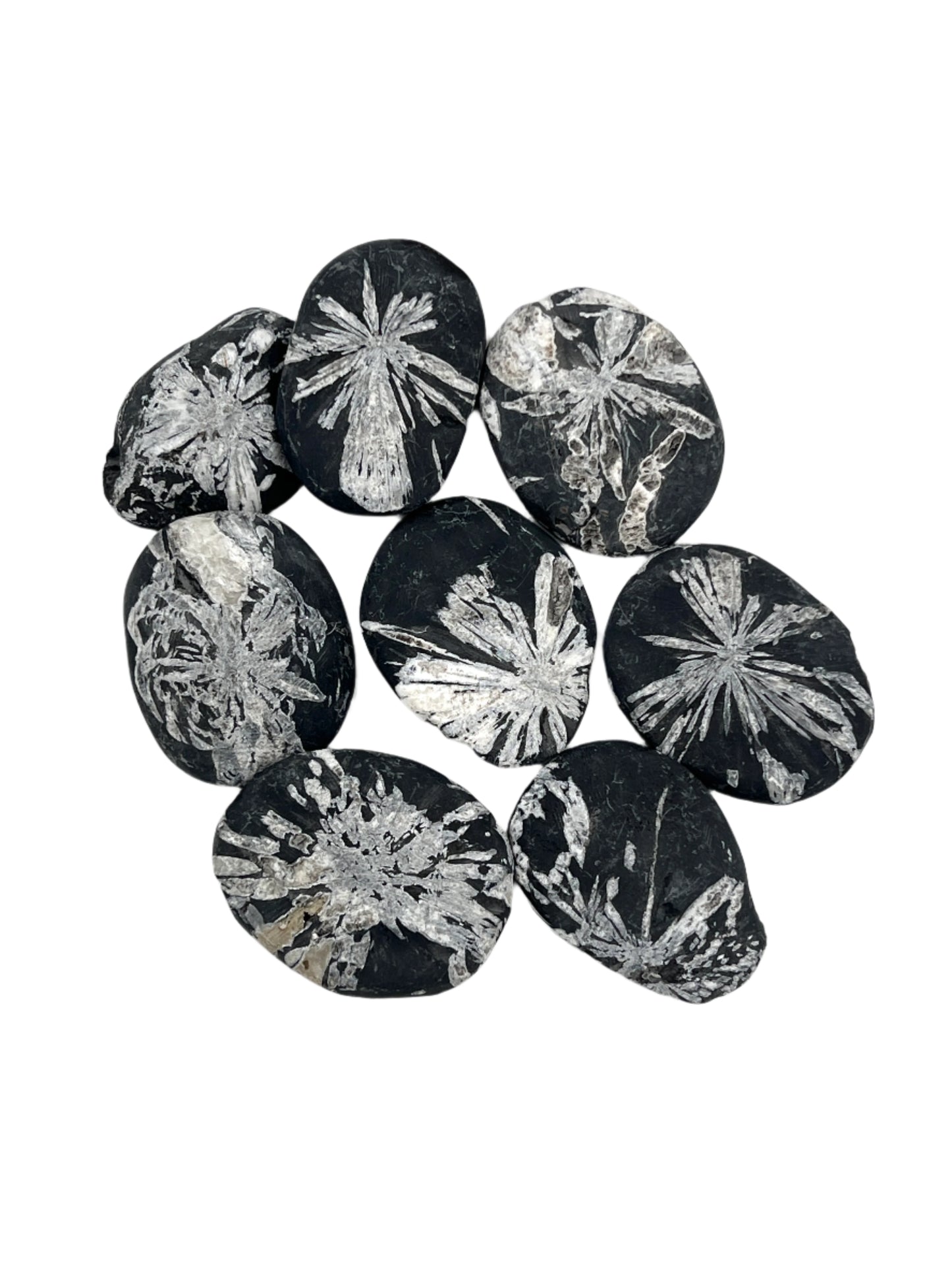 Black stones with white floral patterns arranged on a white background
