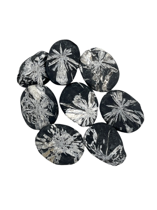 Black stones with white floral patterns arranged on a white background