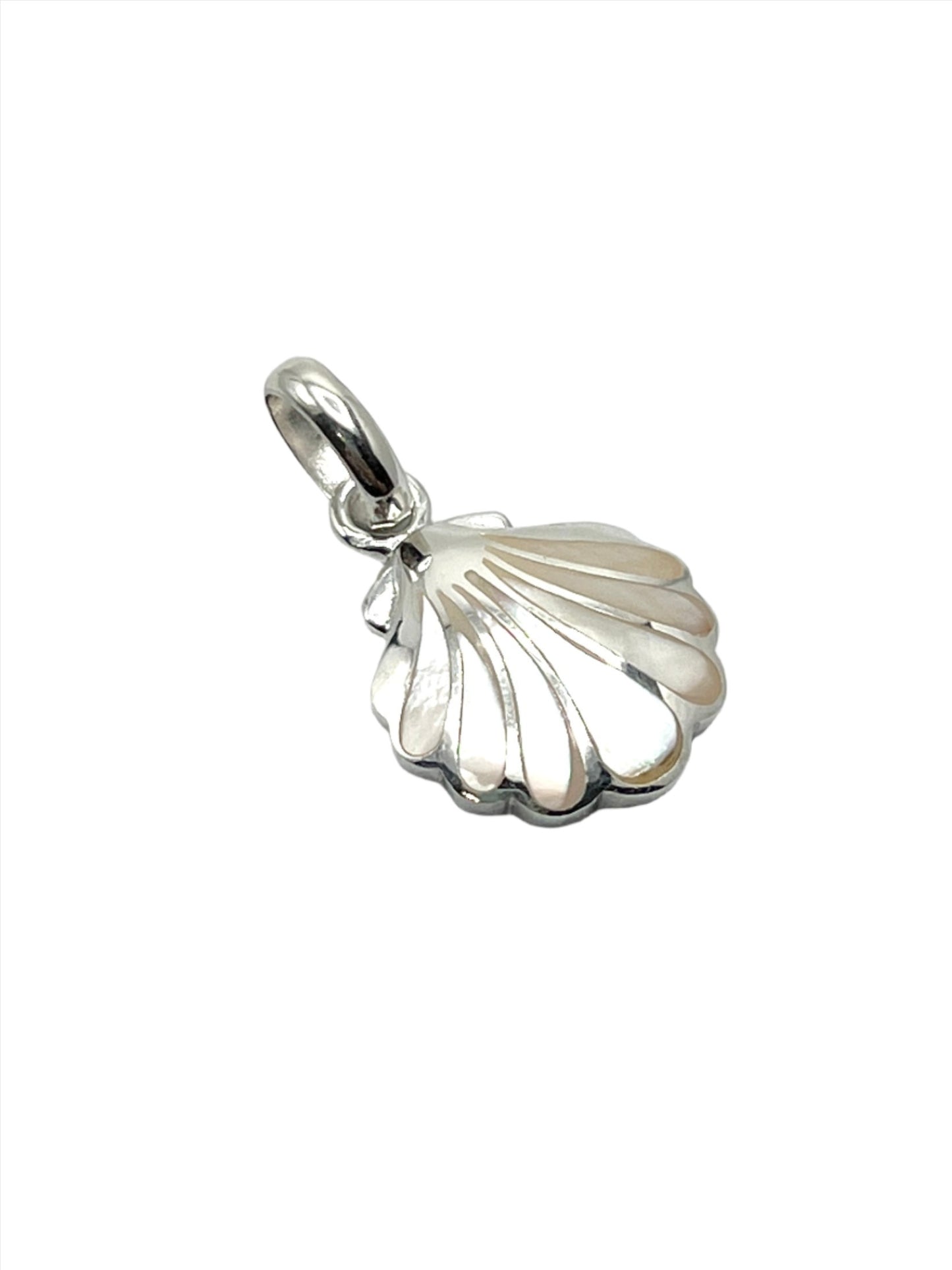 Sea Shell Pendants