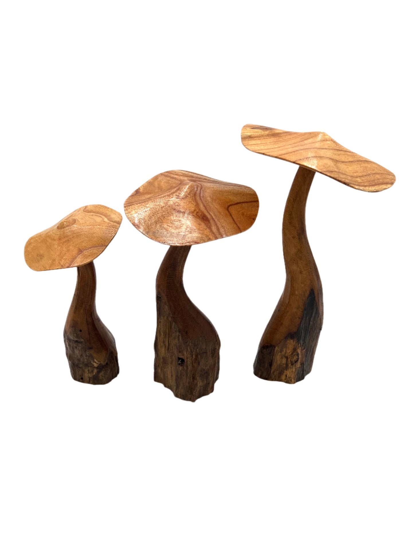 Mushroom Parasite Wood Carvings