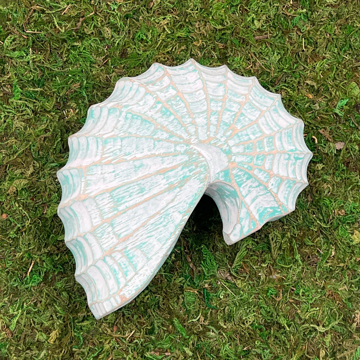 Carved Sleeping Shell