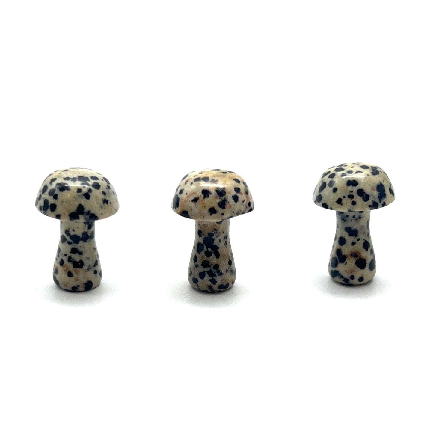 Small Stone Mushroom
