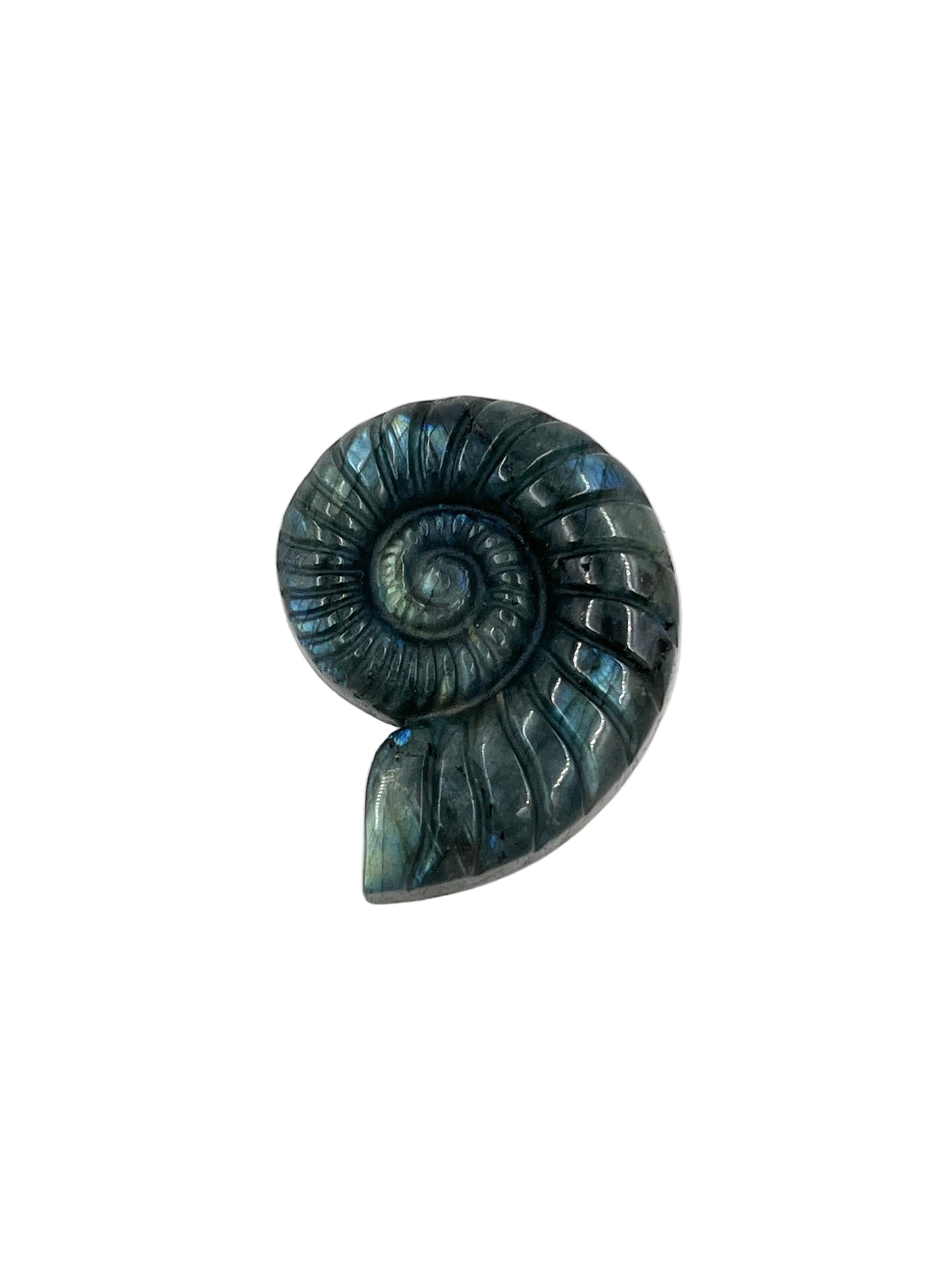 Labradorite Ammonite Carving
