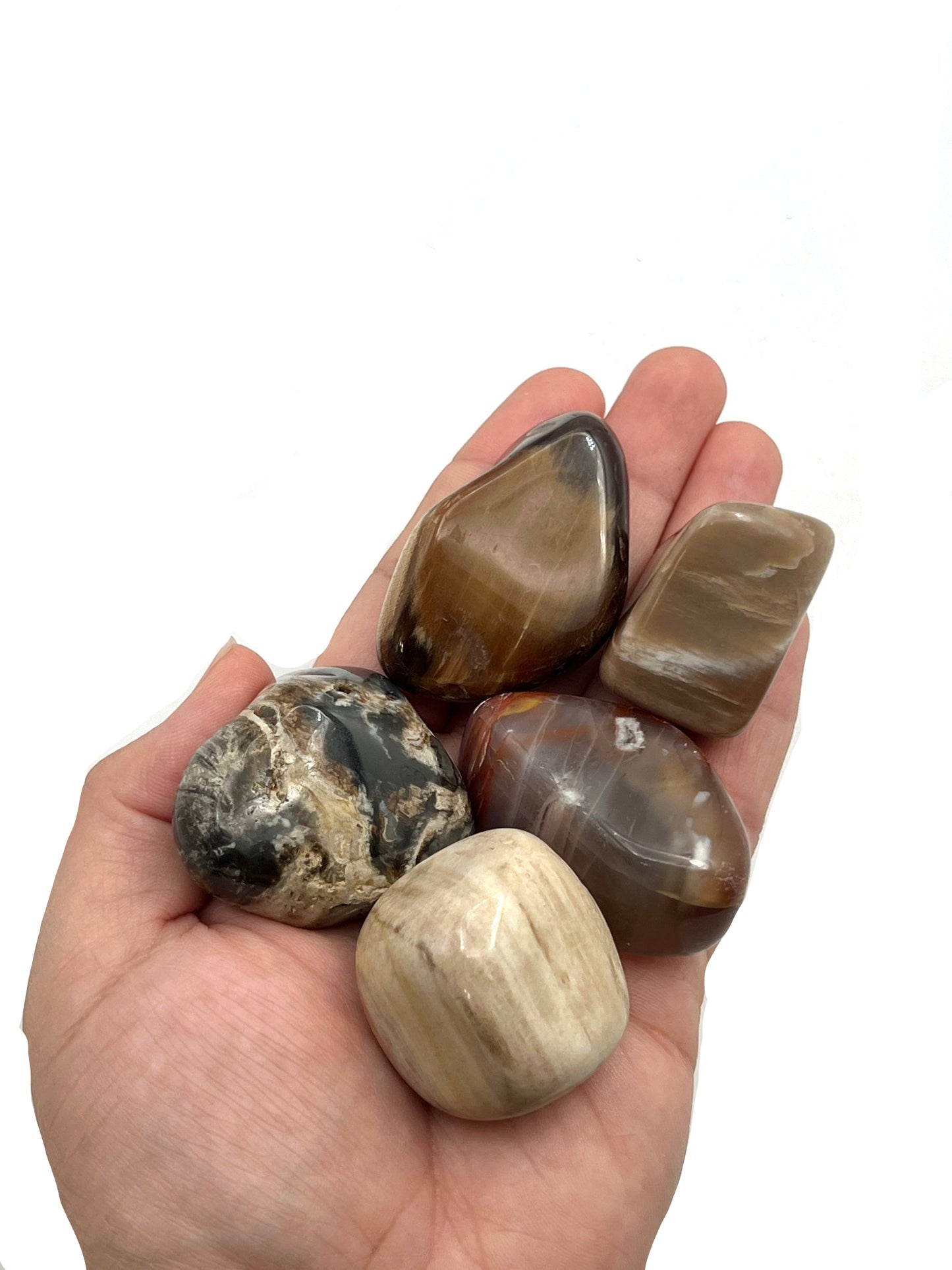Petrified Wood Tumbles