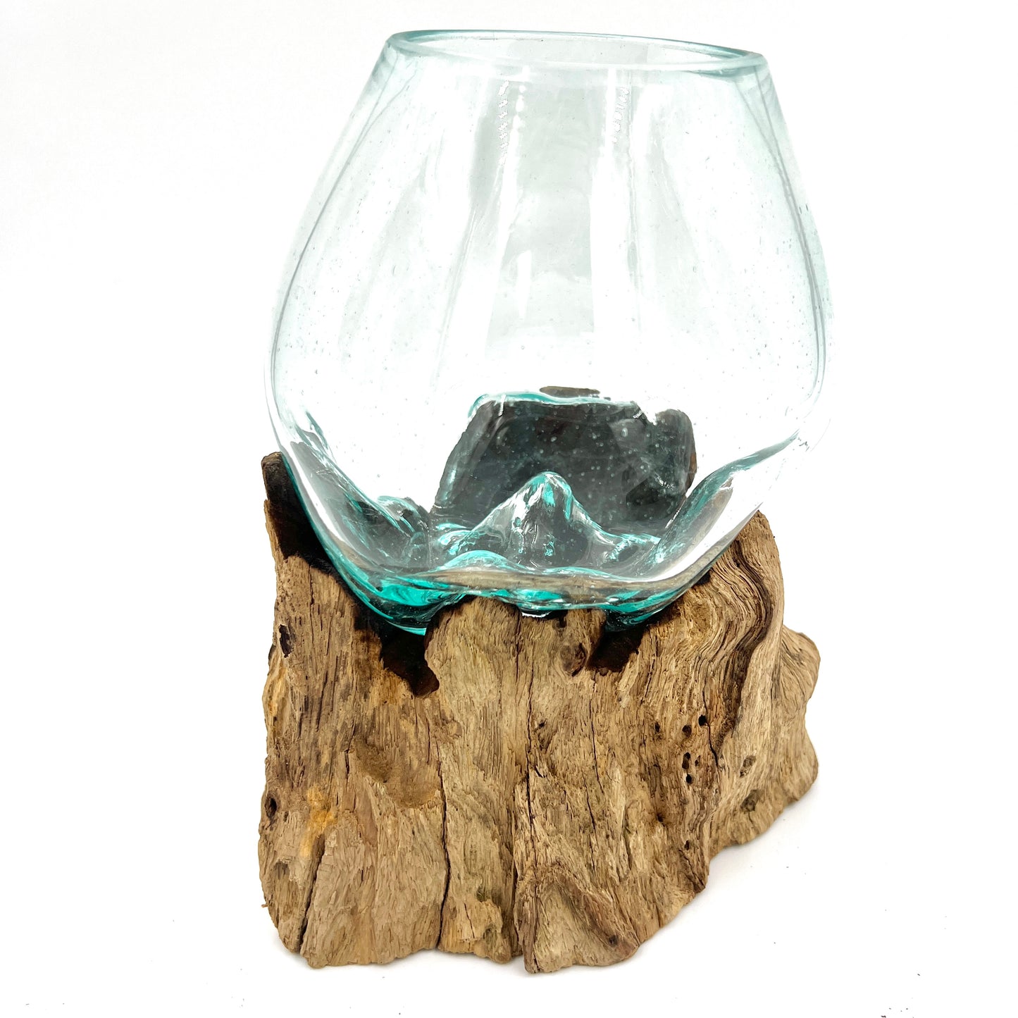 Glass and Driftwood Terrarium