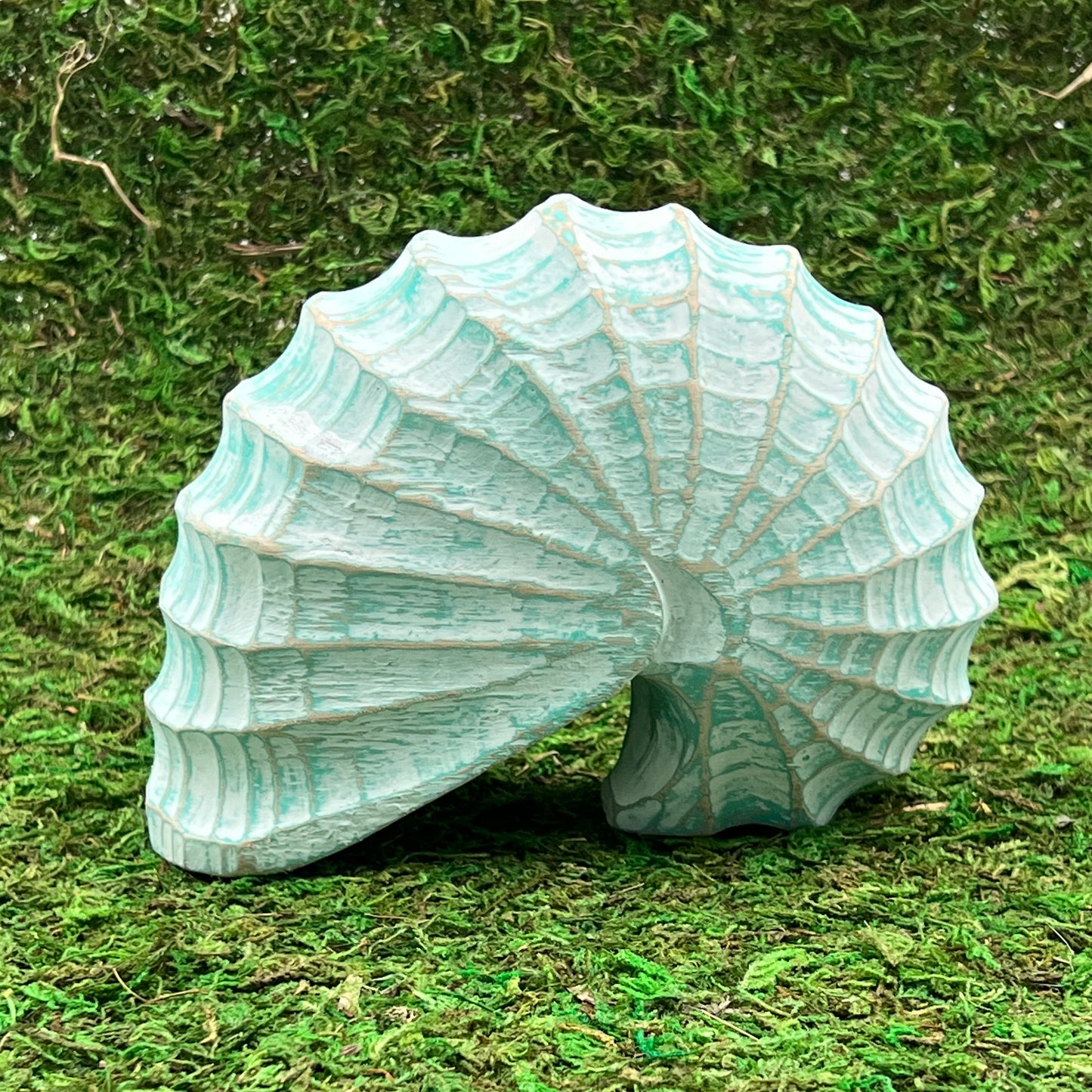Carved Sleeping Shell