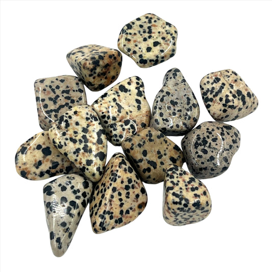 Dalmatian Jasper Tumbles