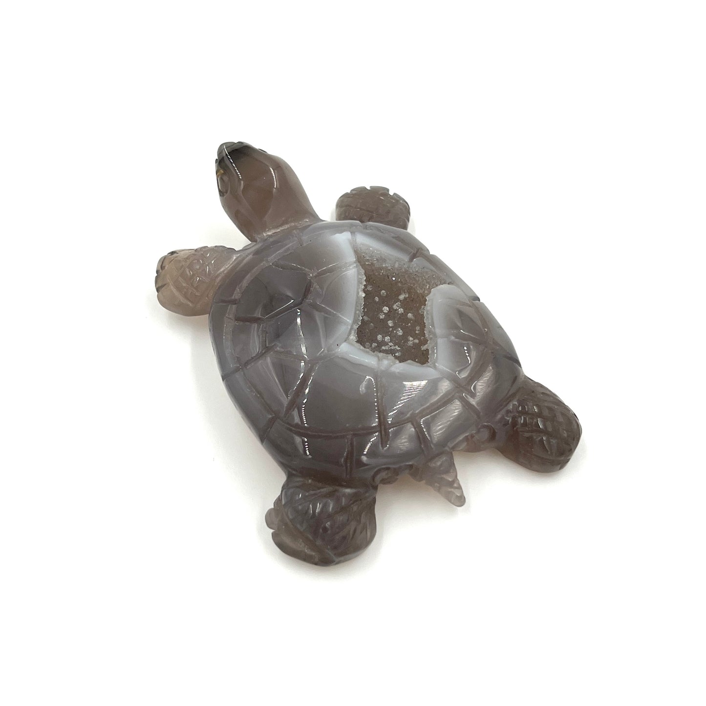 Druzy Agate Turtle