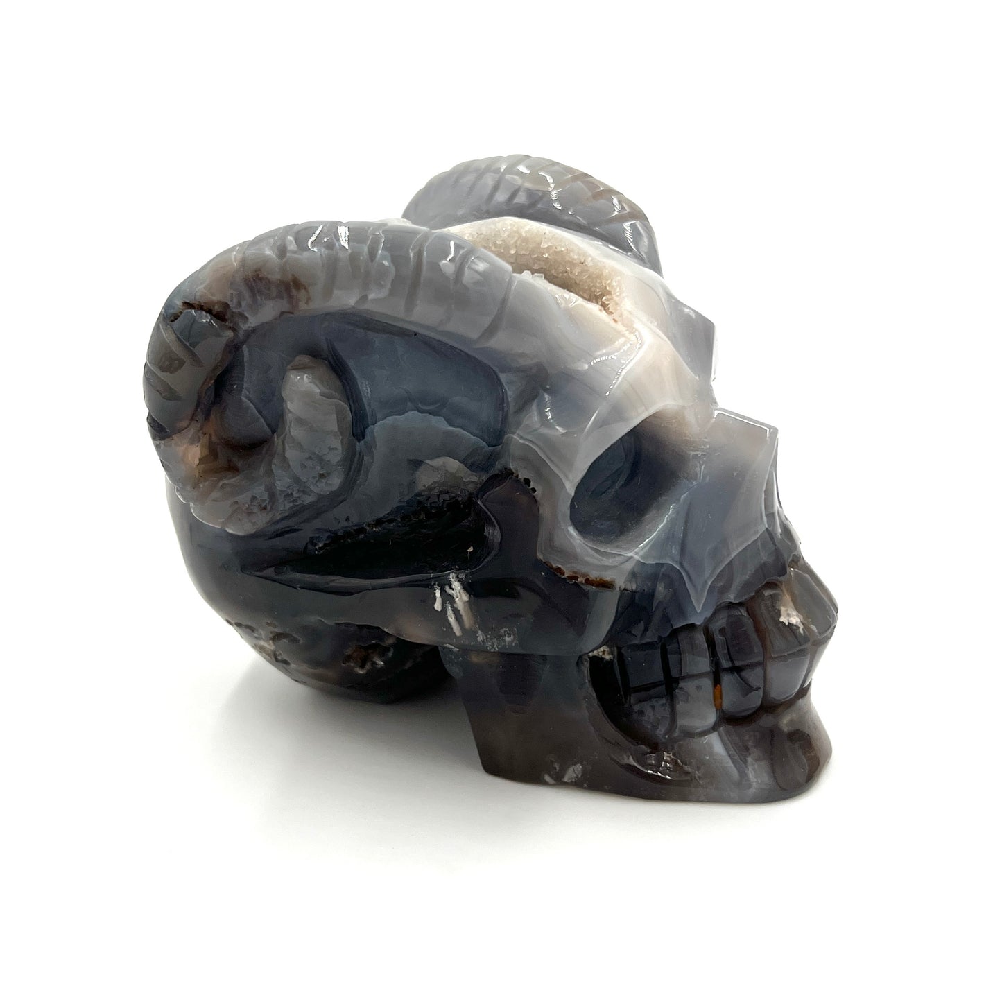 Druzy Agate Skull with Horns