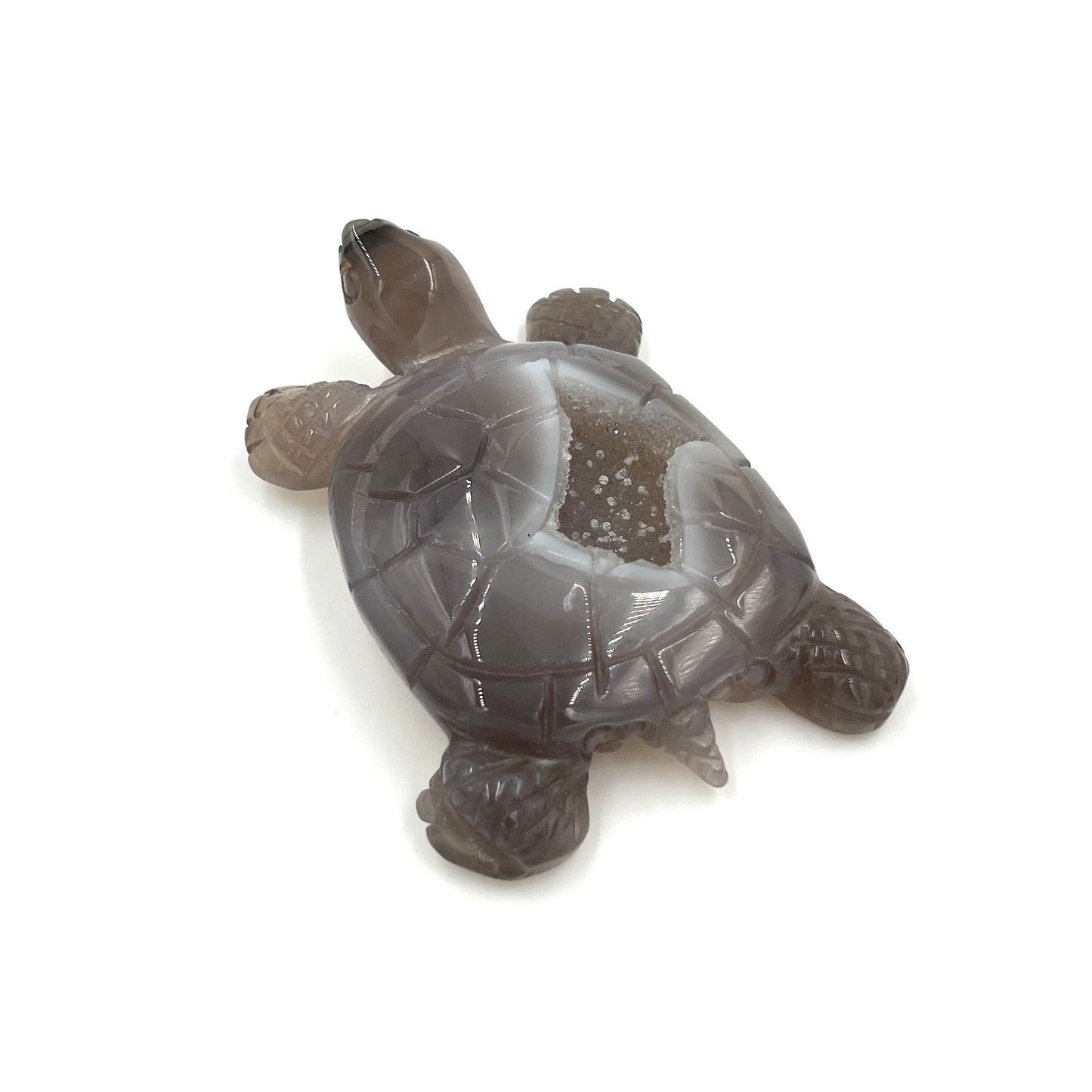 Druzy Agate Turtle