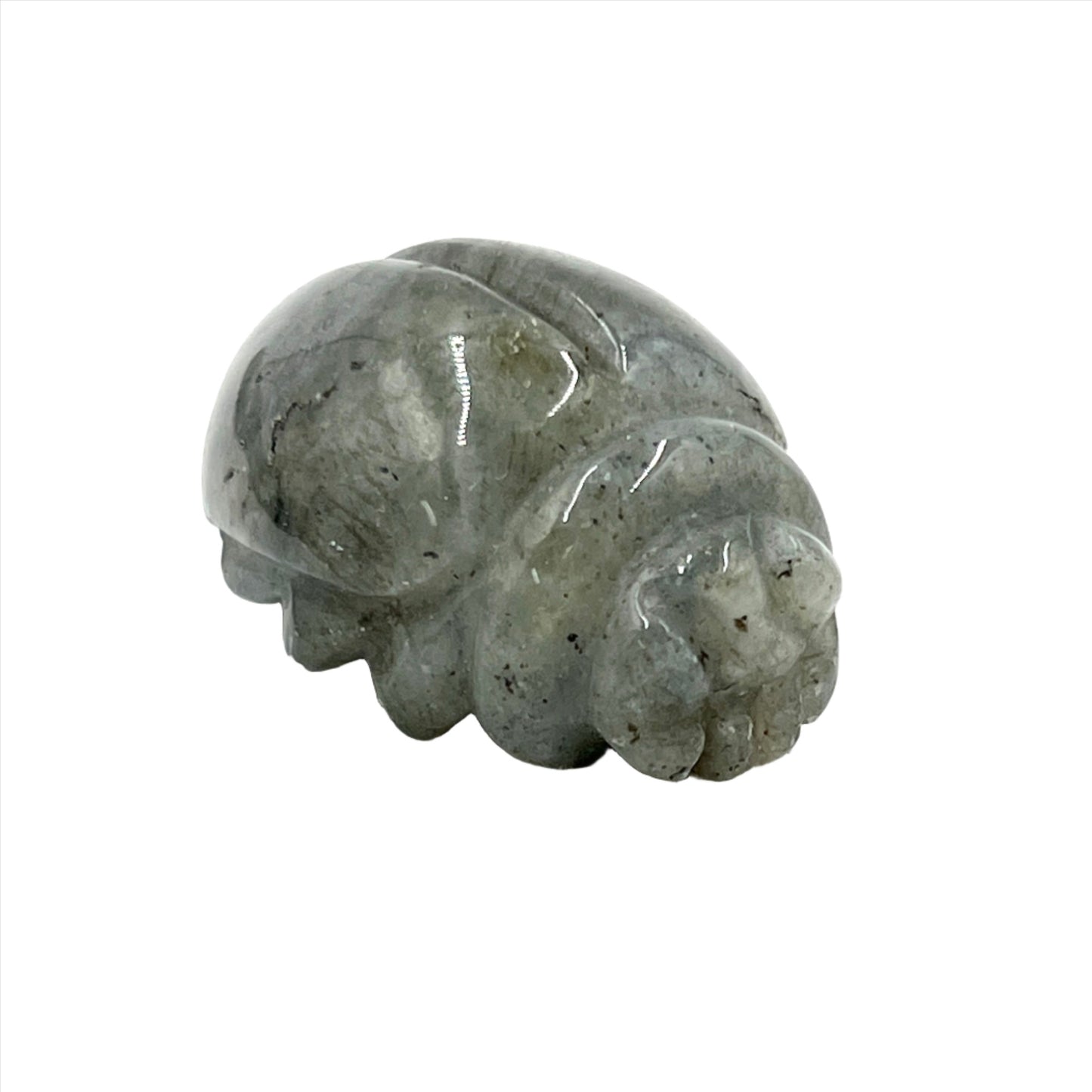 Labradorite Scarab