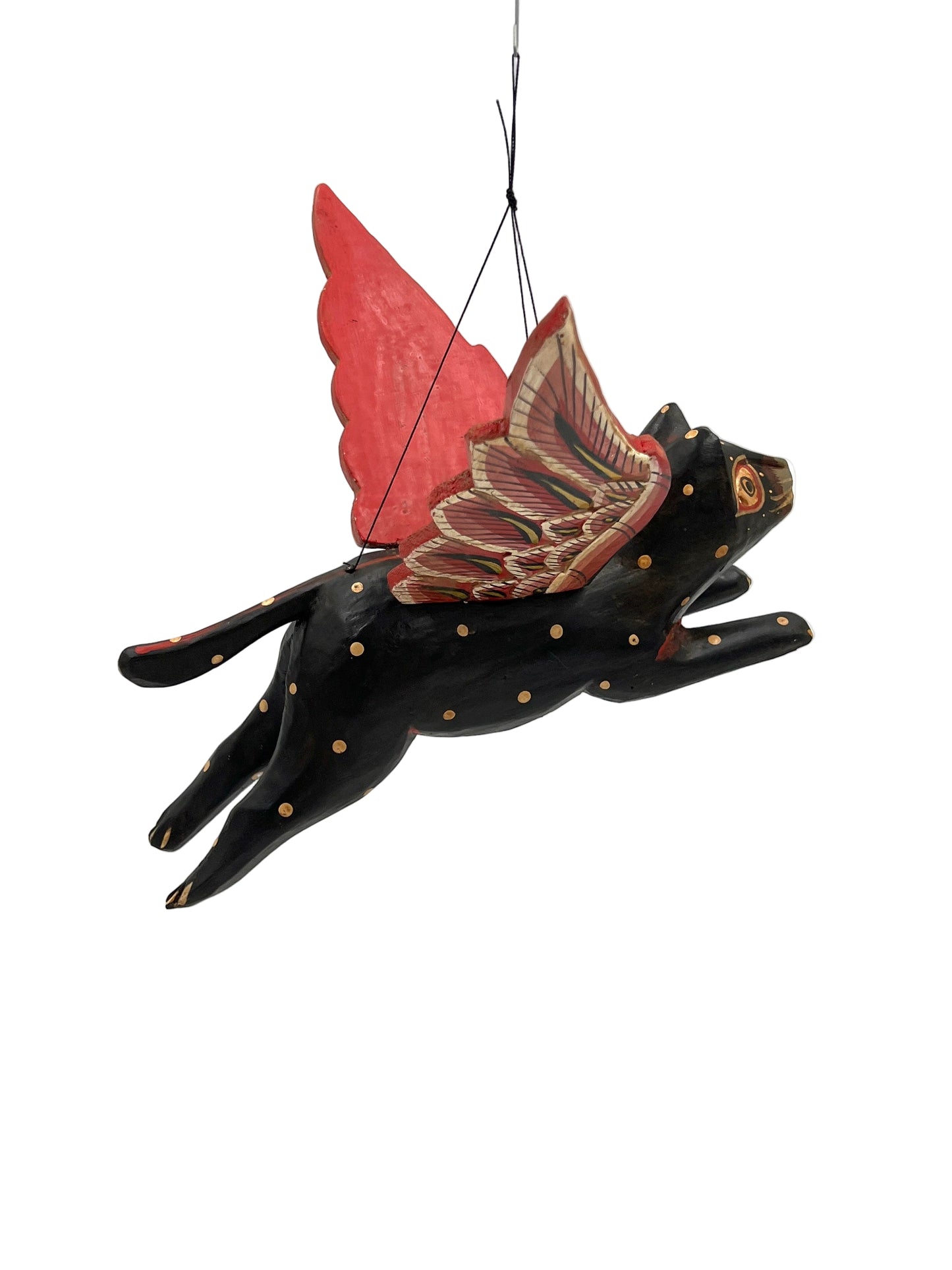 Kitty Spirit Chaser Black & Tan Polka Dot