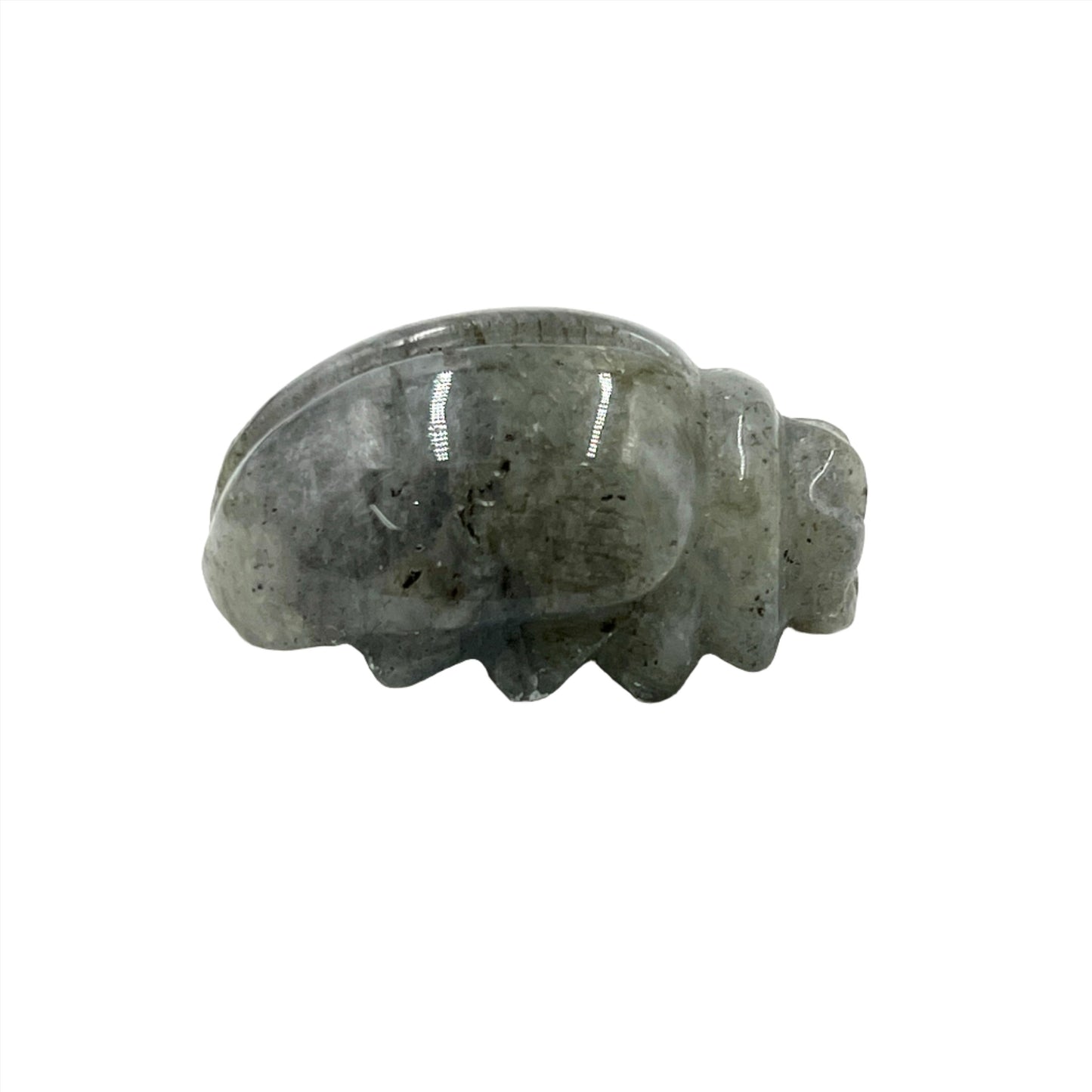 Labradorite Scarab