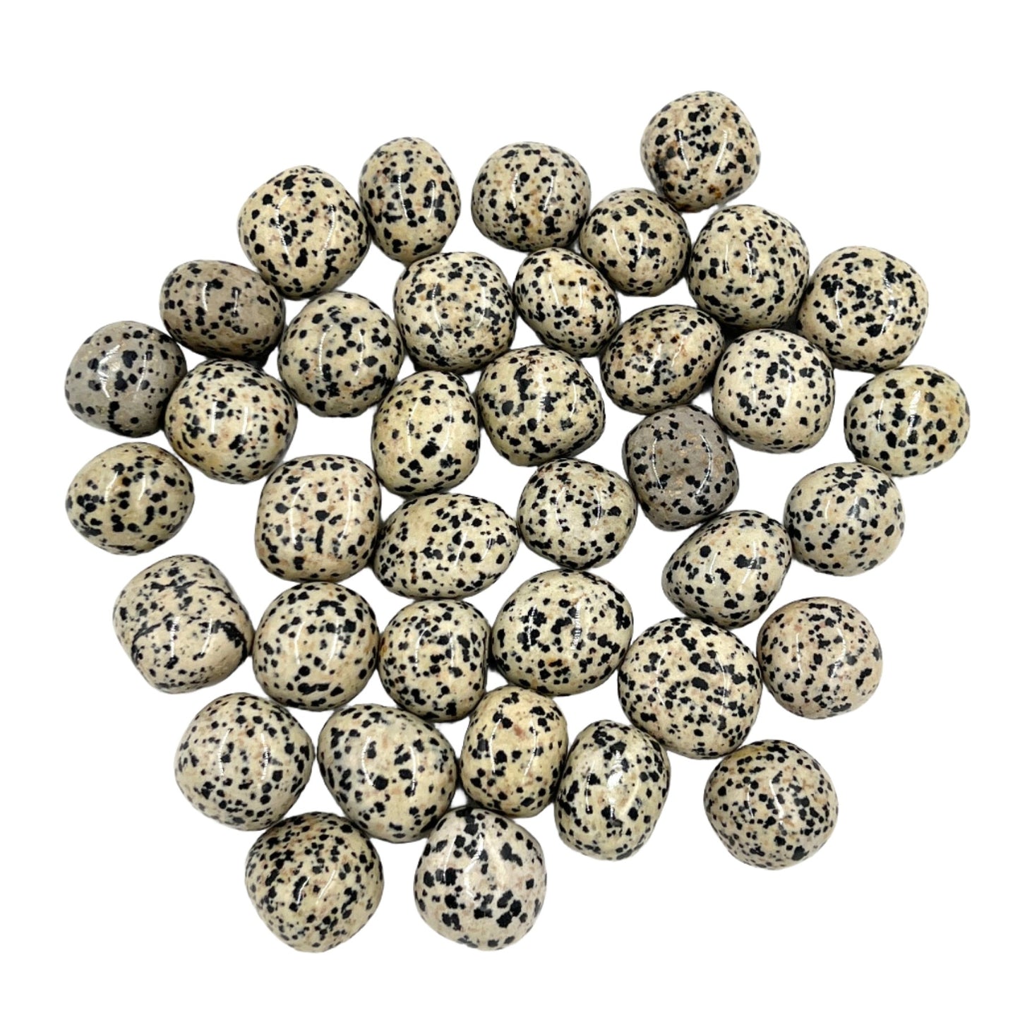 Dalmatian Jasper Tumble Nuggets