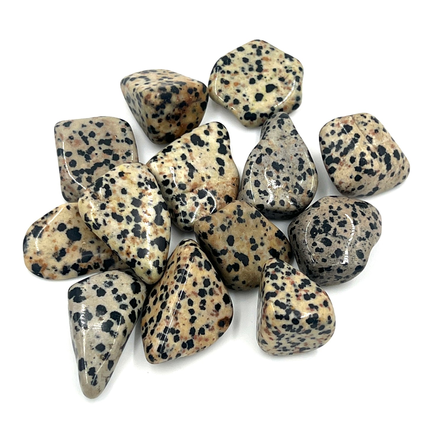 Dalmatian Jasper Tumbles