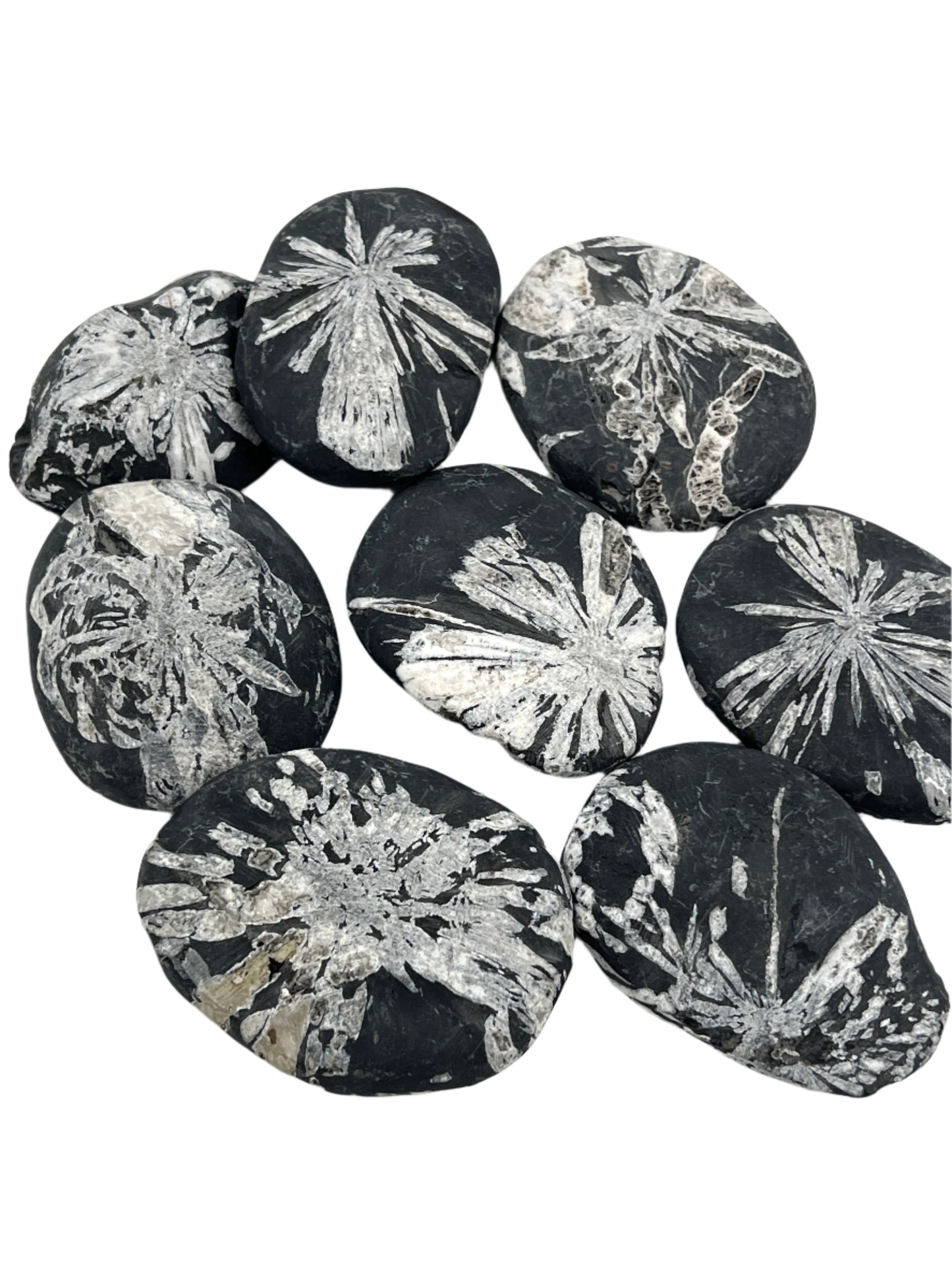 Black stones with white floral patterns on a white background