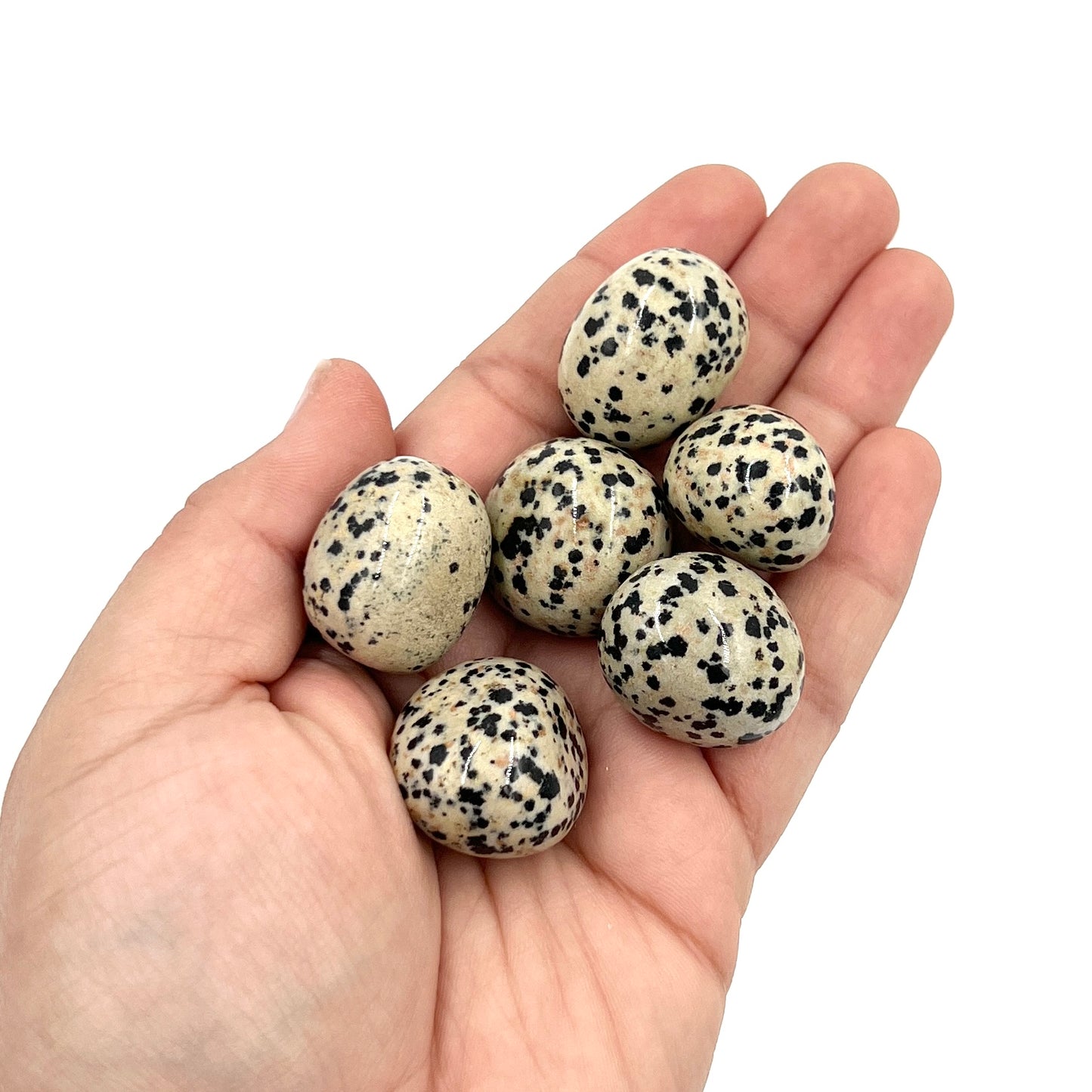 Dalmatian Jasper Tumble Nuggets