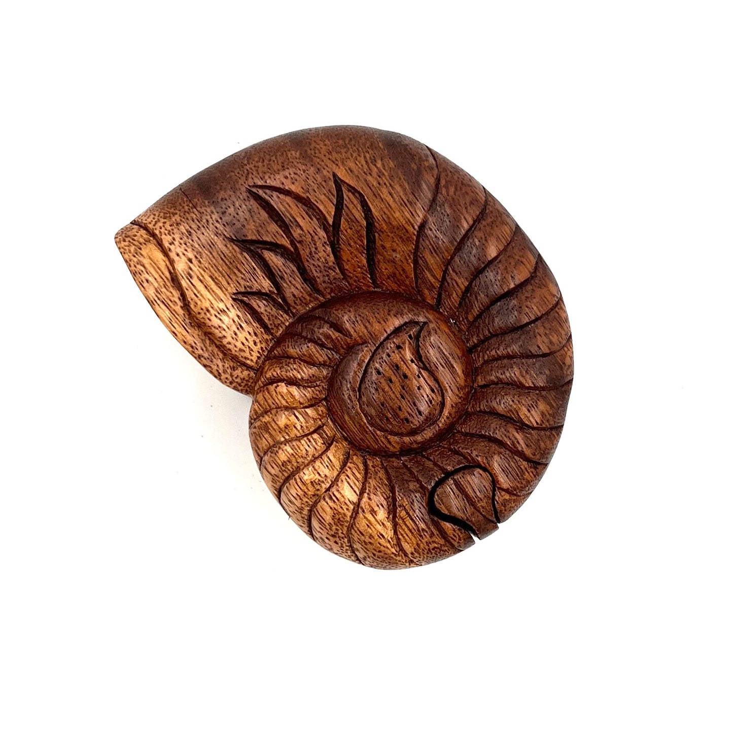 Nautilus Shell Puzzle Boxes