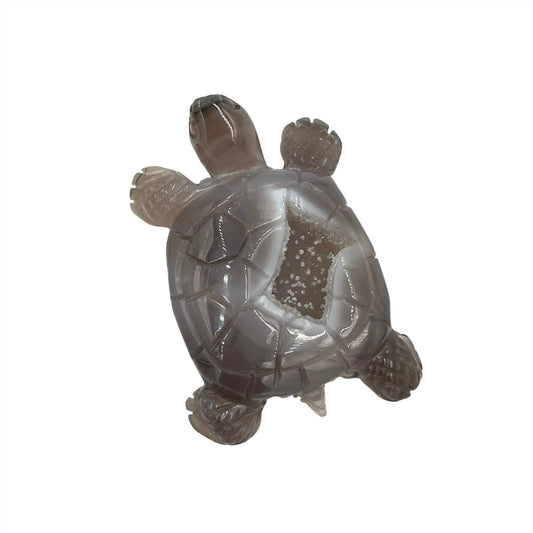 Druzy Agate Turtle