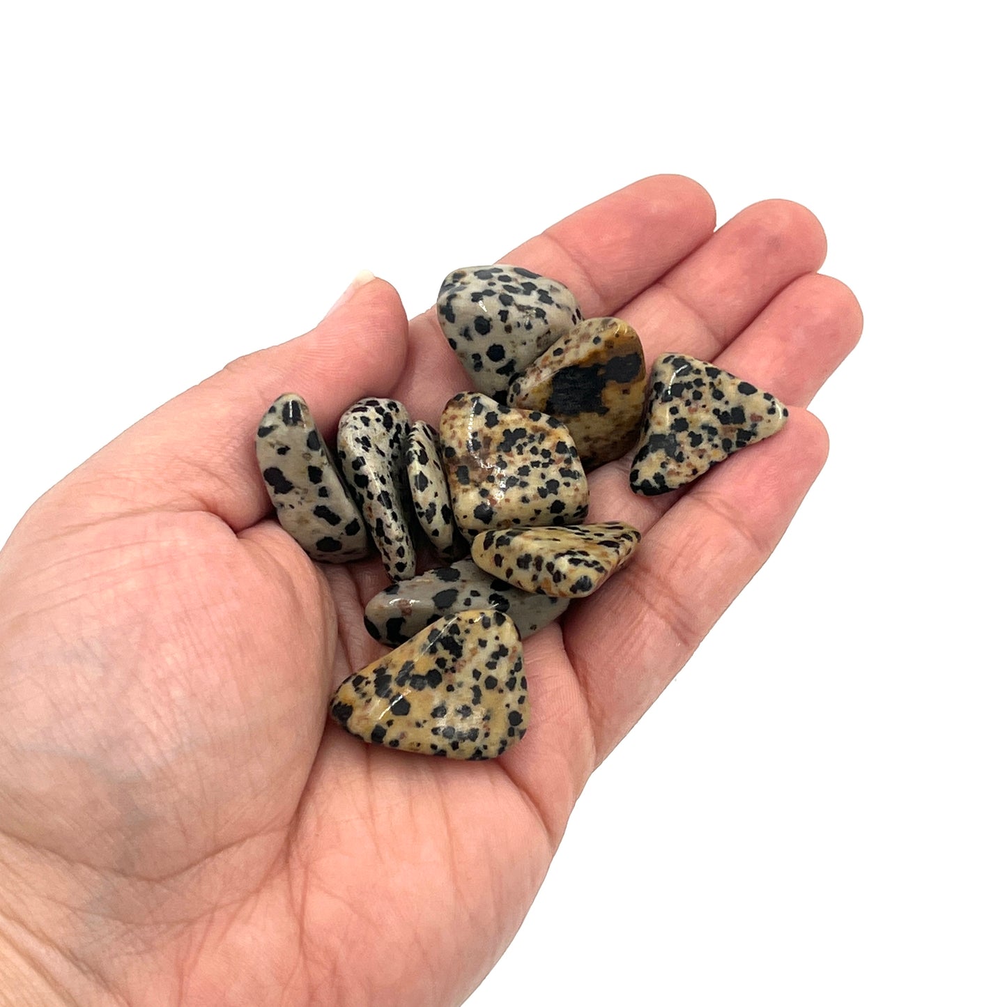 Dalmatian Jasper Tumbles