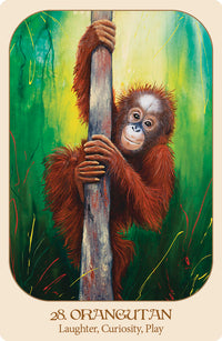 Animal Voices Oracle