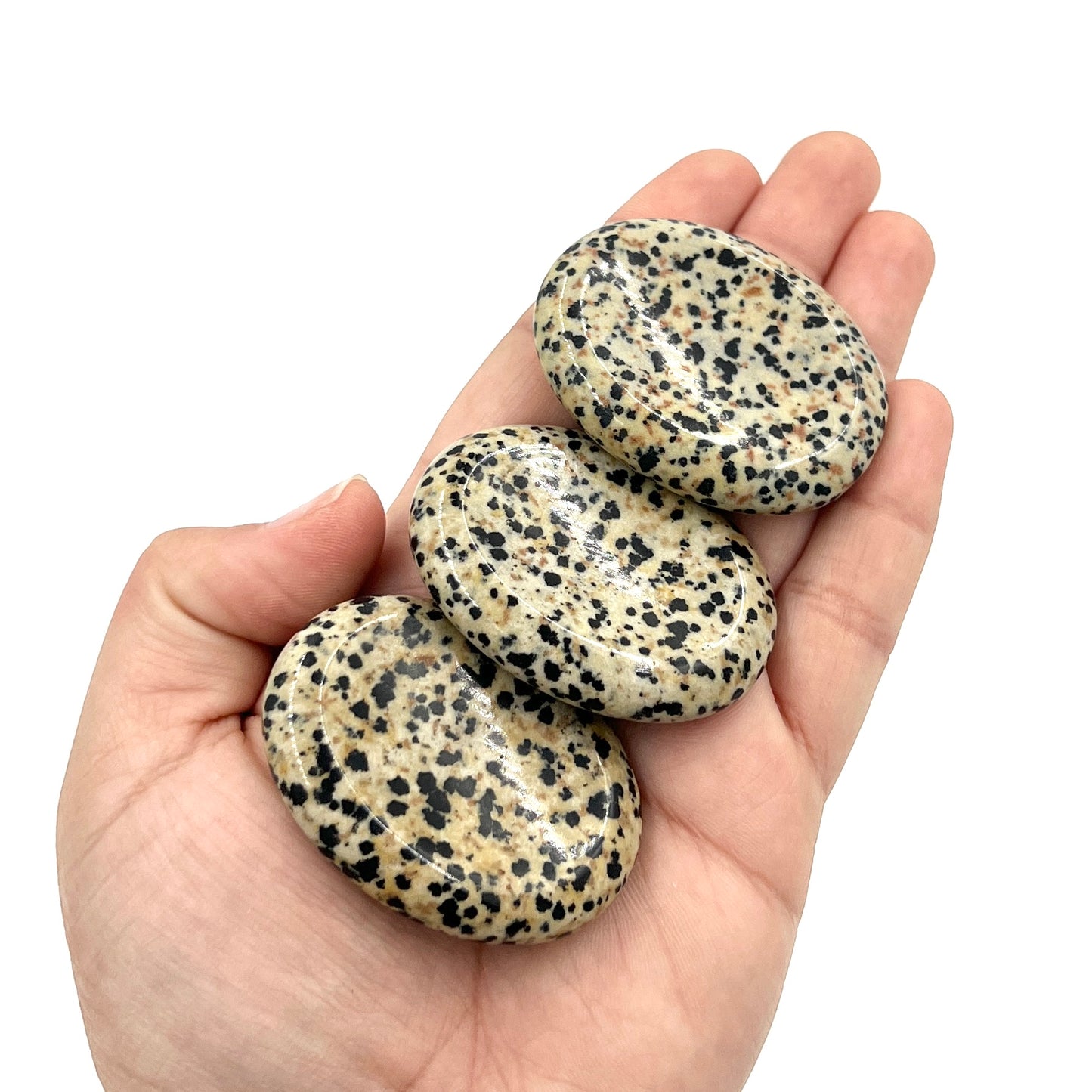 Dalmatian Jasper Worry Stones