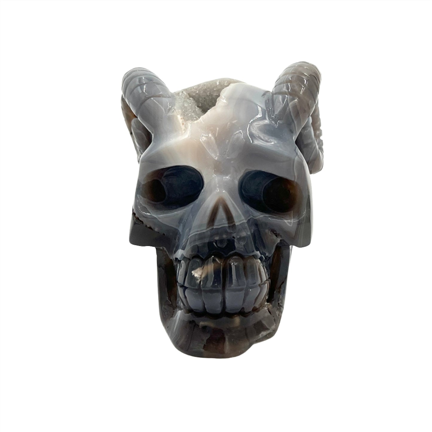 Druzy Agate Skull with Horns