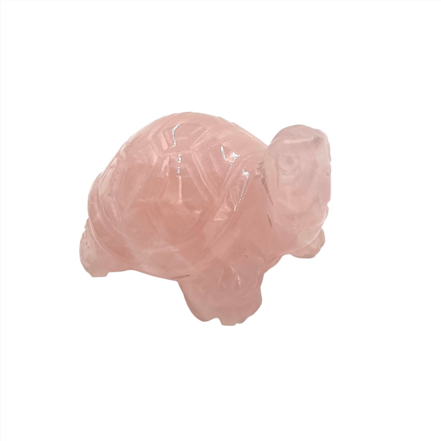 Rose Quartz Tortoise