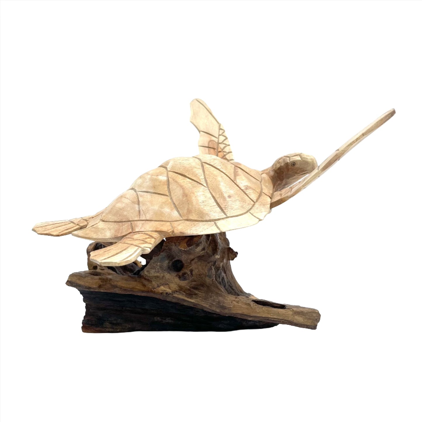 Large Parasite Wood Turtle Carvings