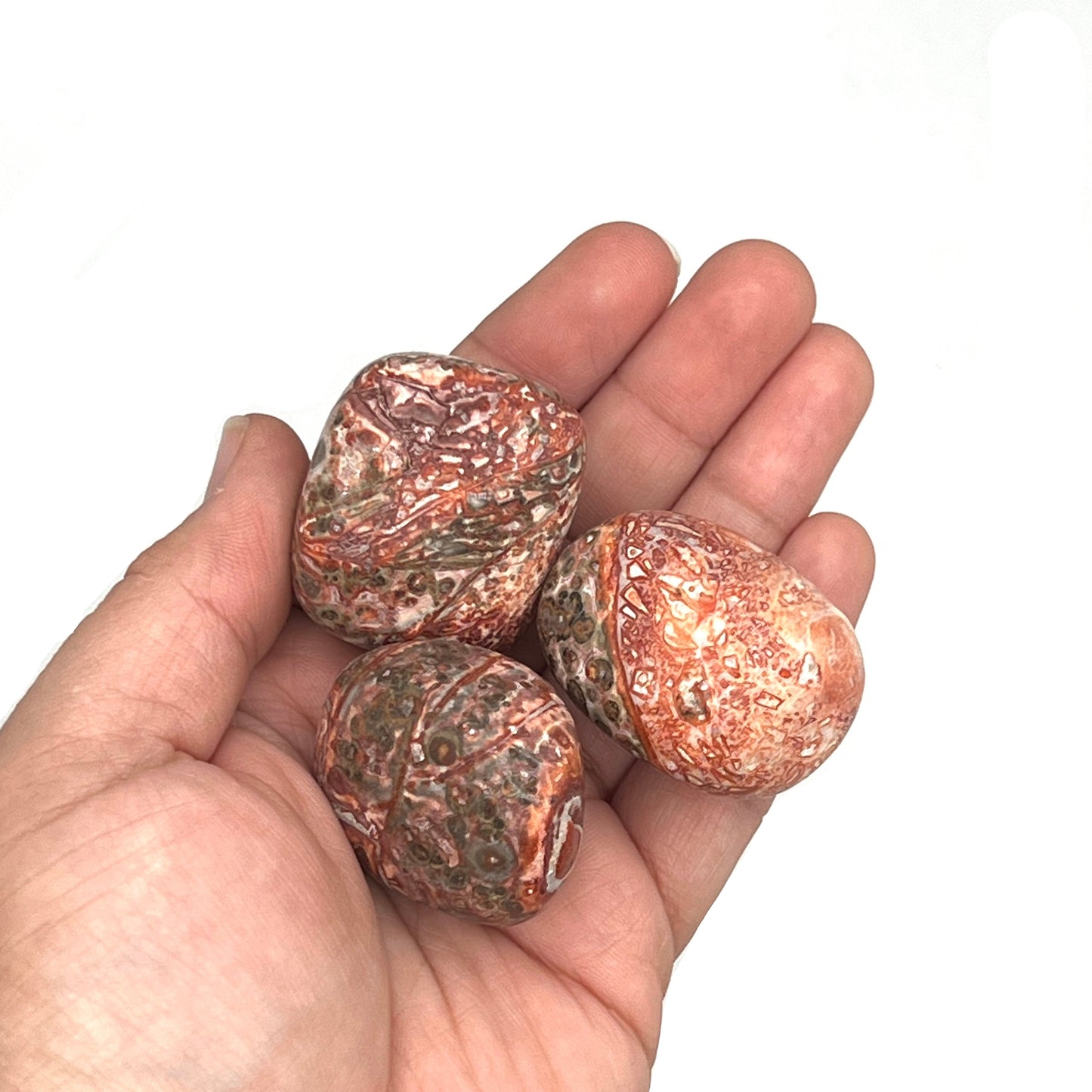 Leopard Skin Jasper Tumbles