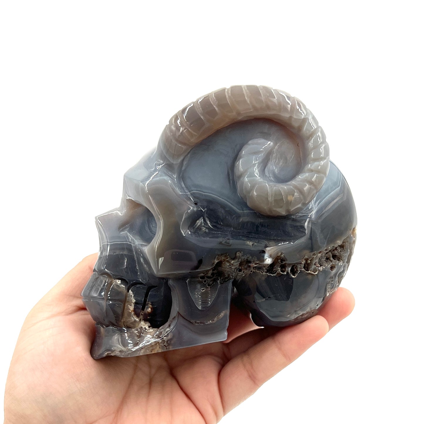 Druzy Agate Skull with Horns