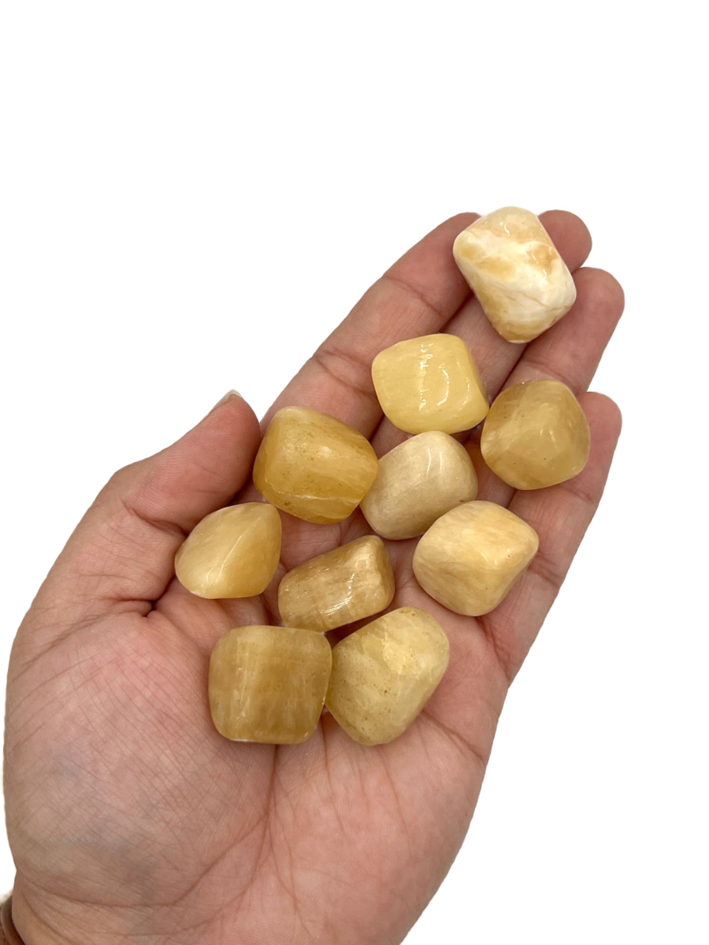 Hand holding a collection of beige stones against a white background