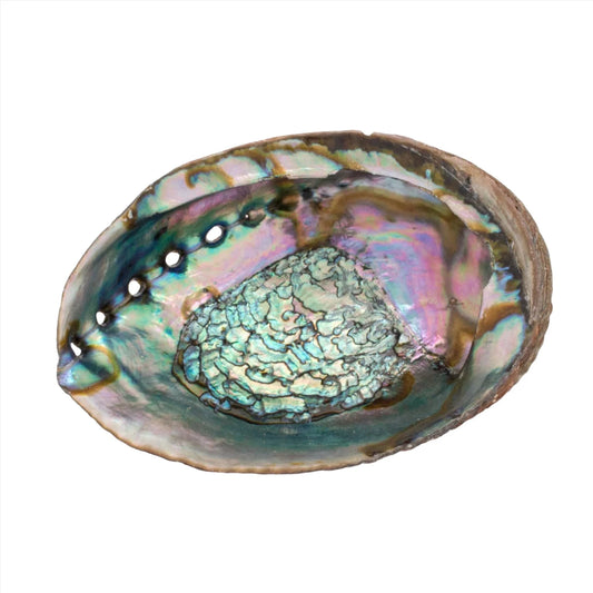 Abalone Shell Smudge Burners