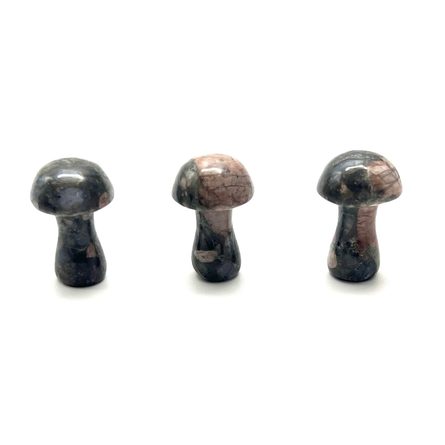 Small Stone Mushroom