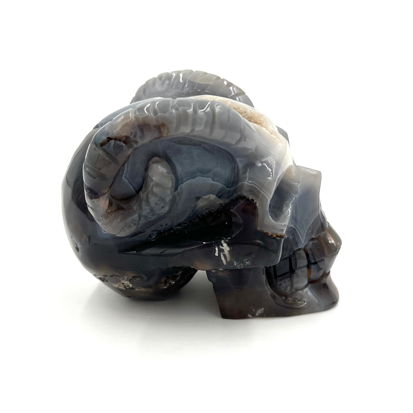 Druzy Agate Skull with Horns