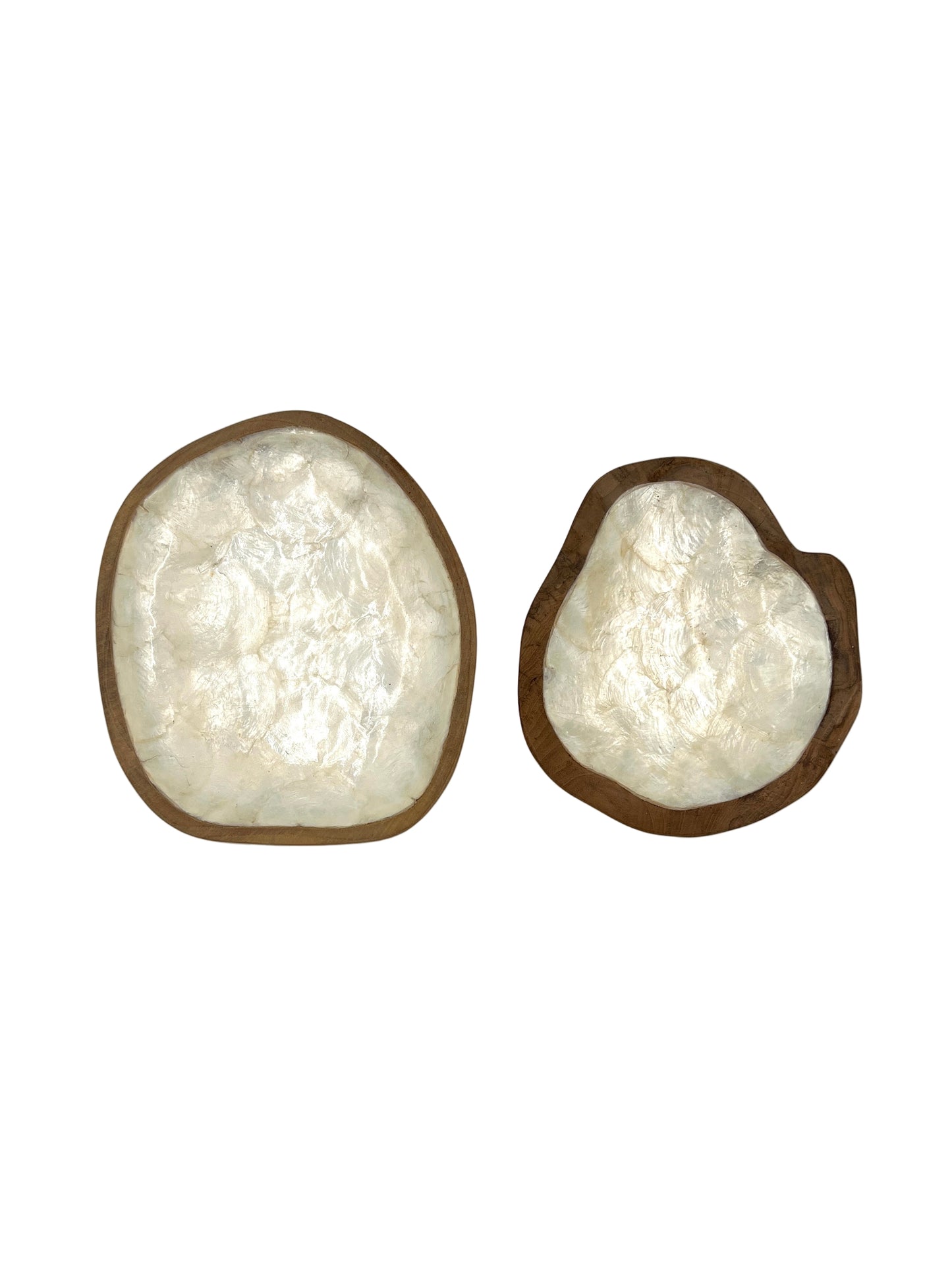 Freeform Sea Shell Wood Plate