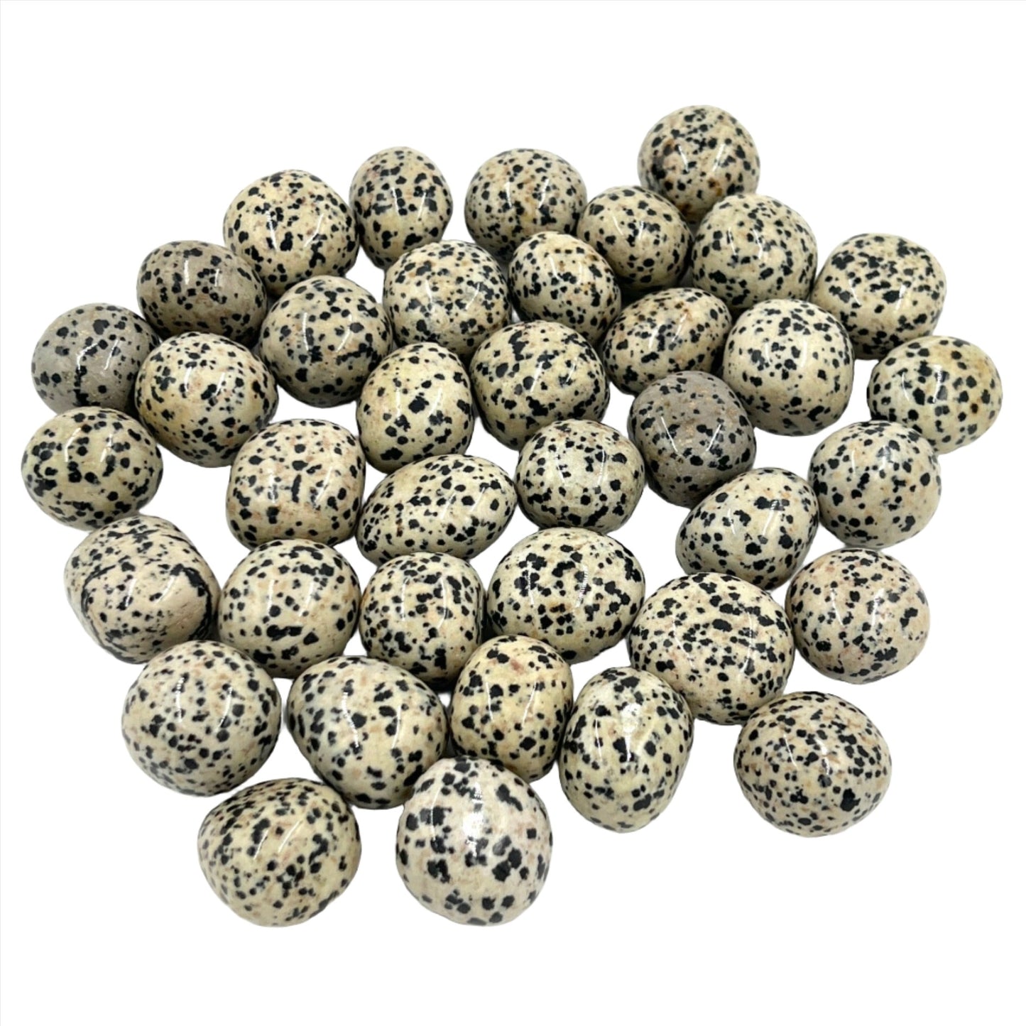 Dalmatian Jasper Tumble Nuggets
