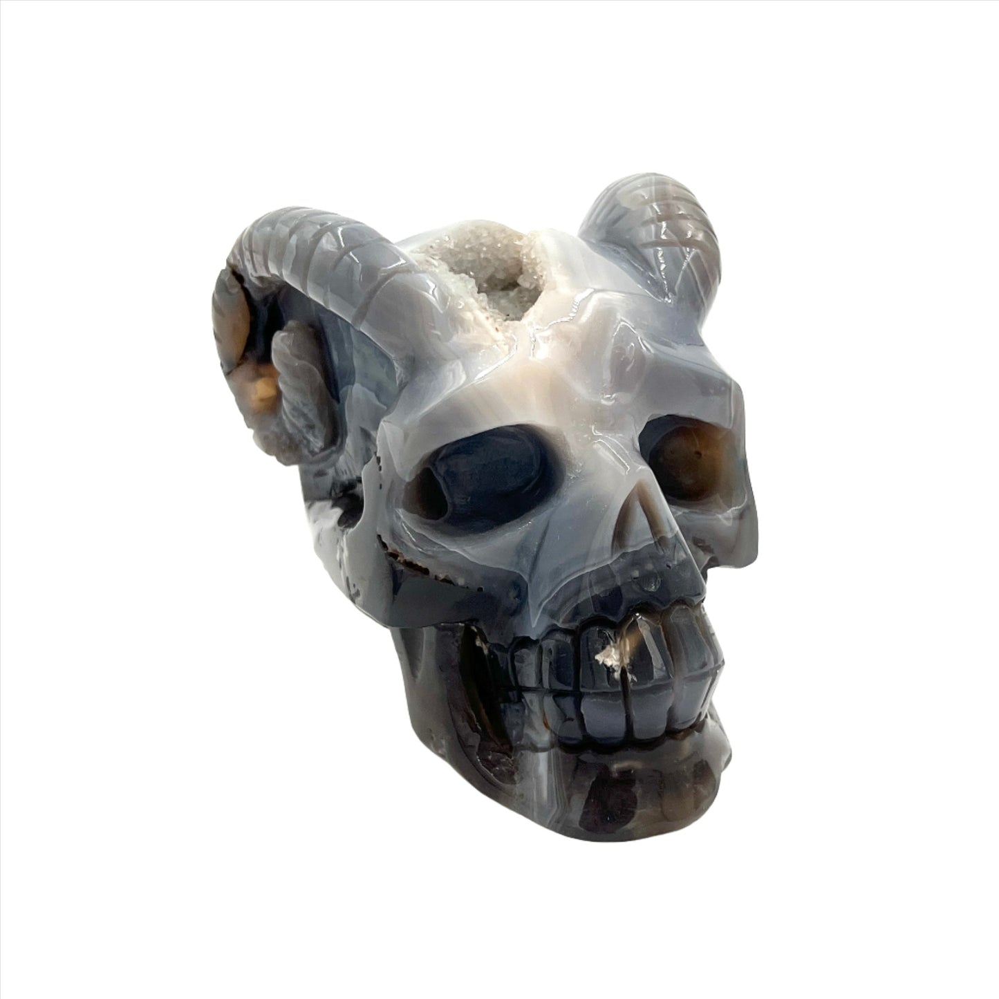 Druzy Agate Skull with Horns