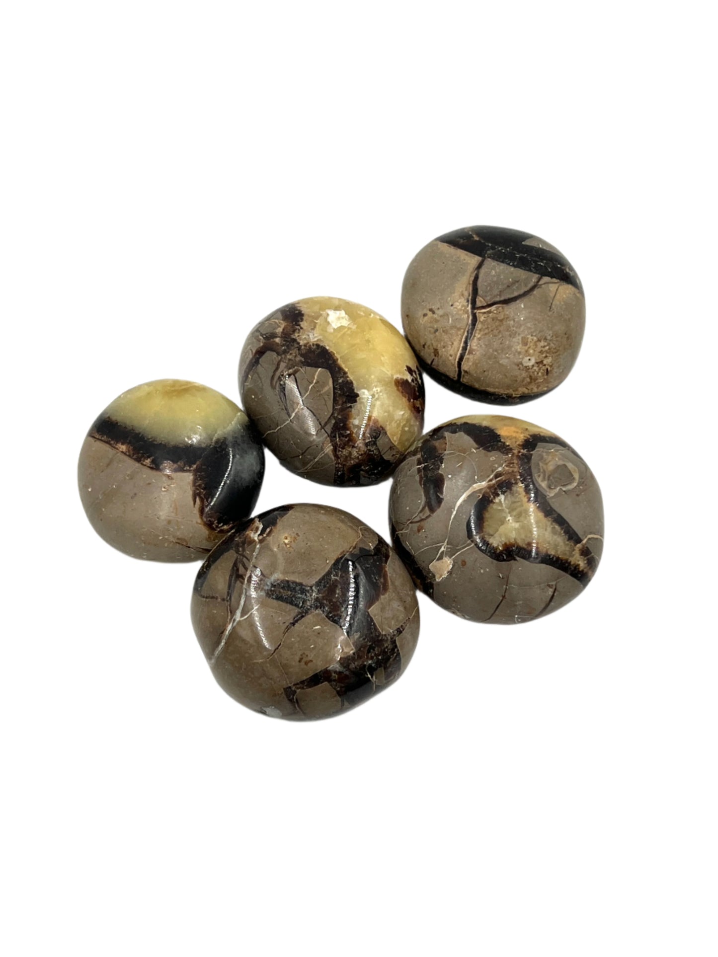 Set of six marbled stones on a white background