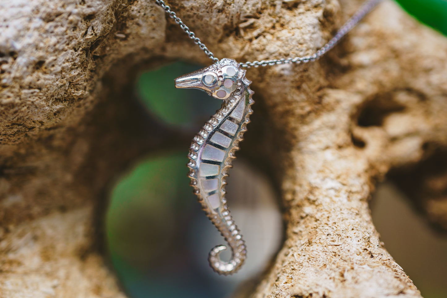 Shell Seahorse Pendants