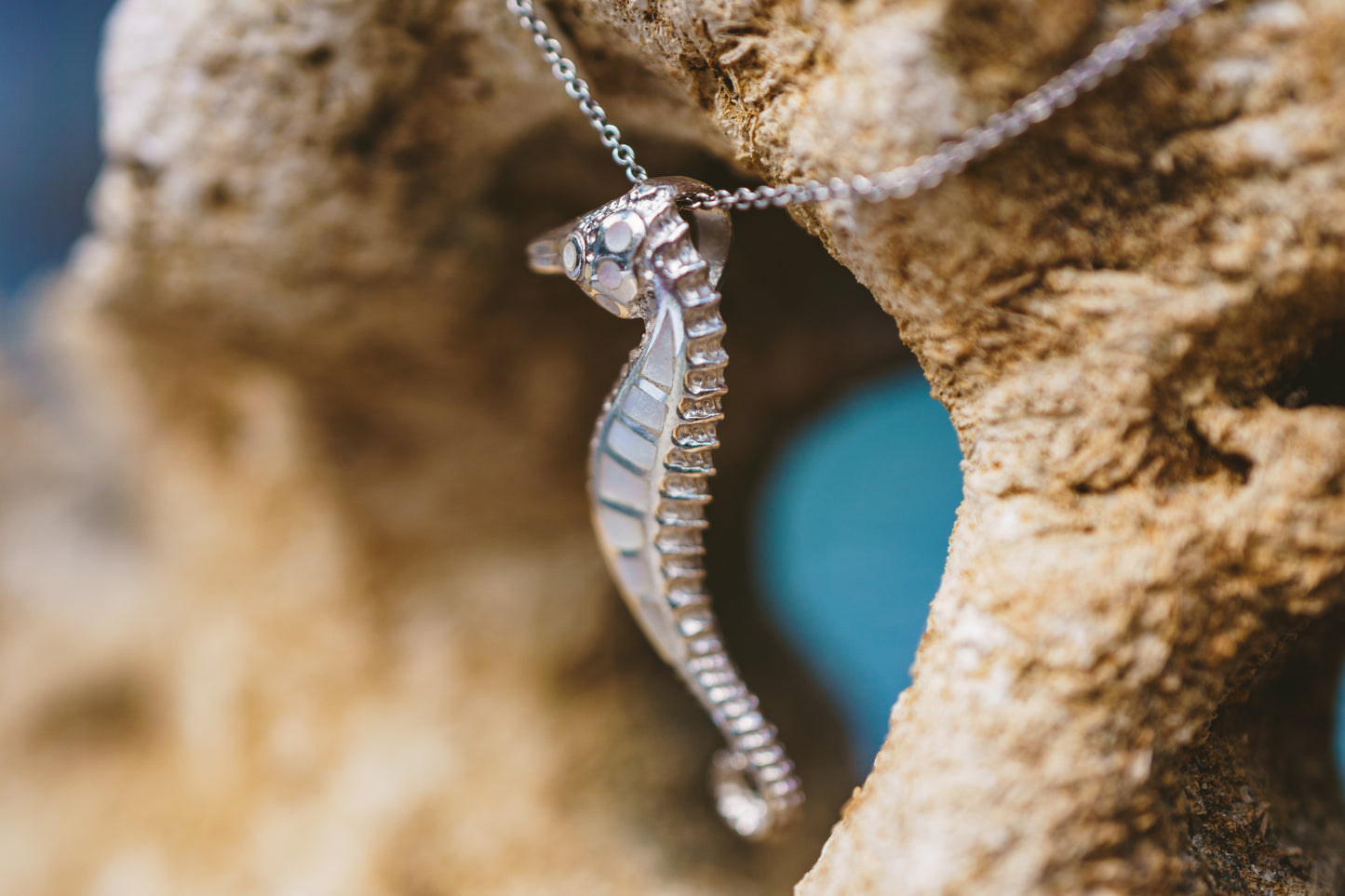 Shell Seahorse Pendants
