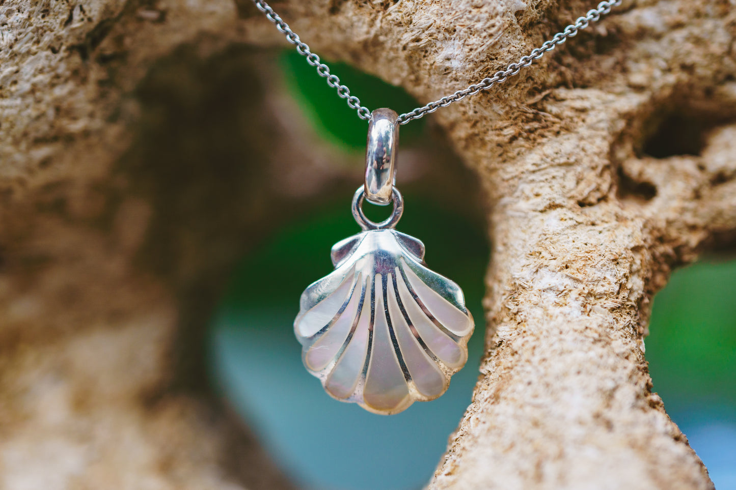 Sea Shell Pendants