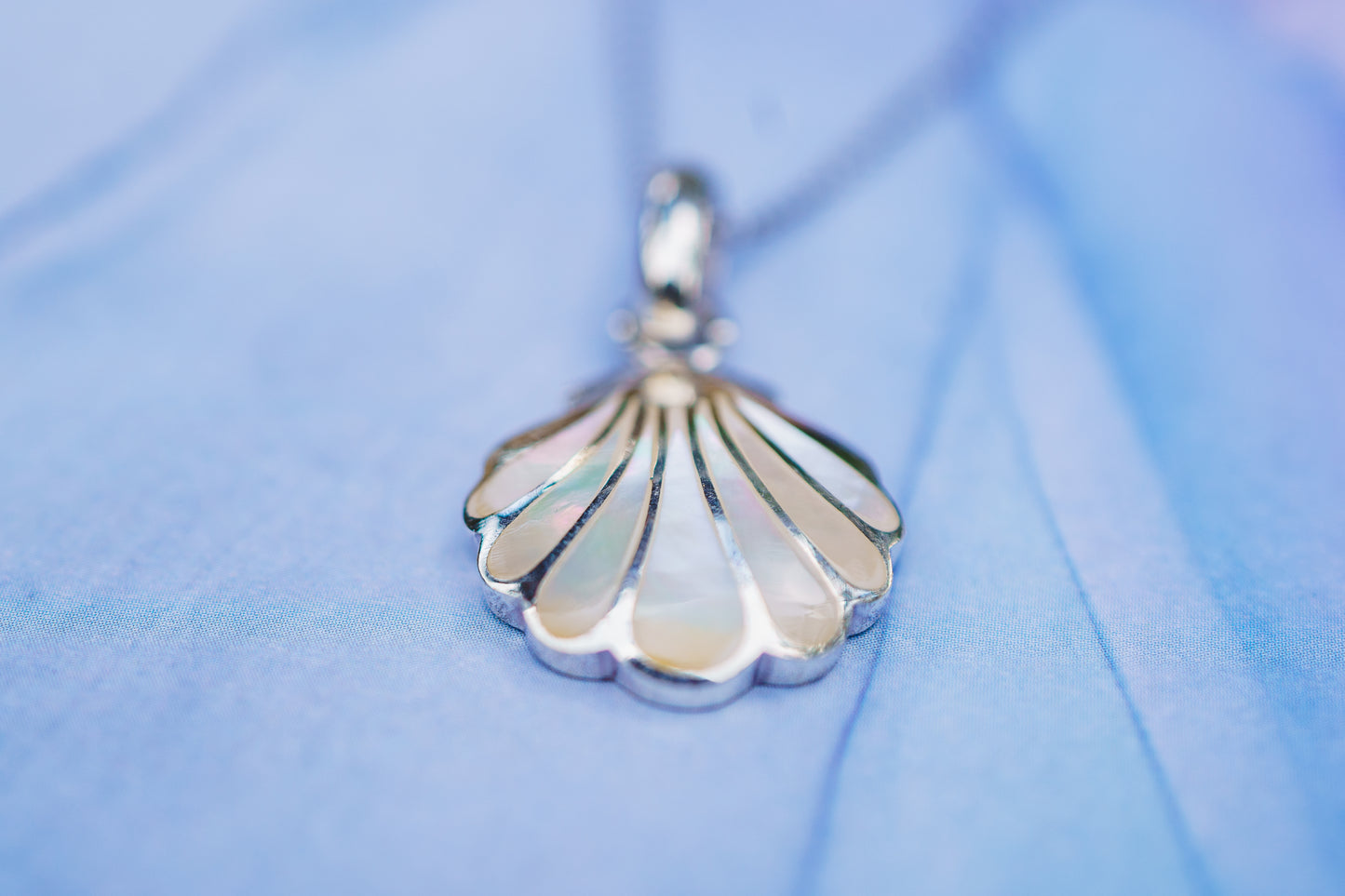 Sea Shell Pendants