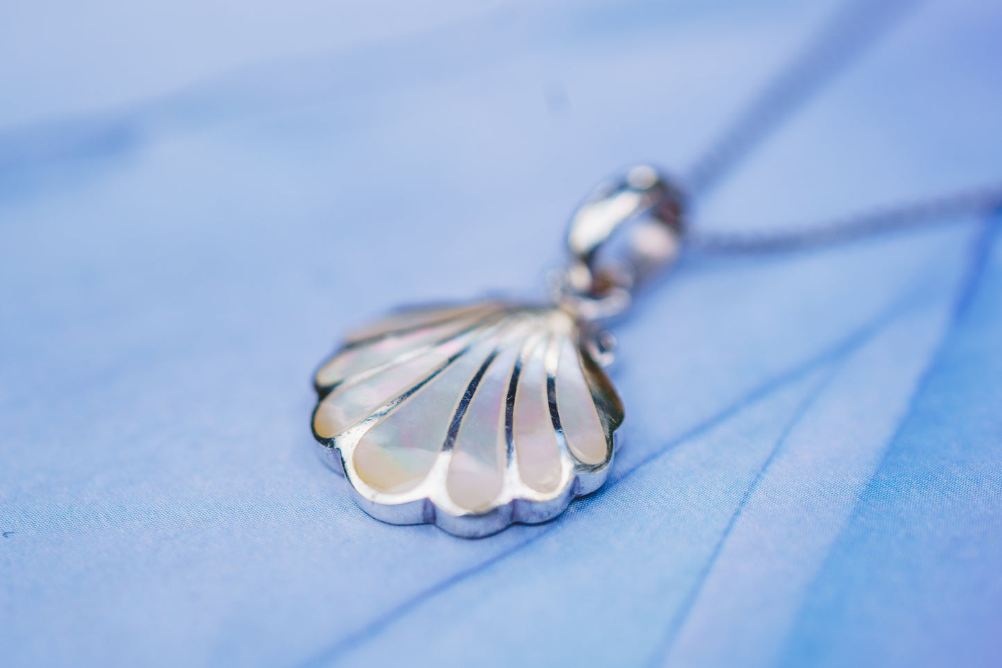 Sea Shell Pendants