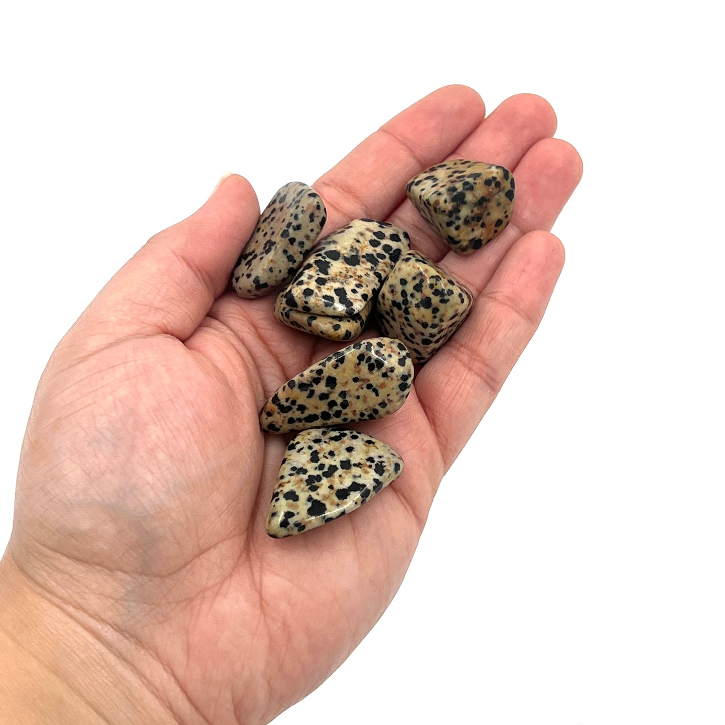 Dalmatian Jasper Tumbles